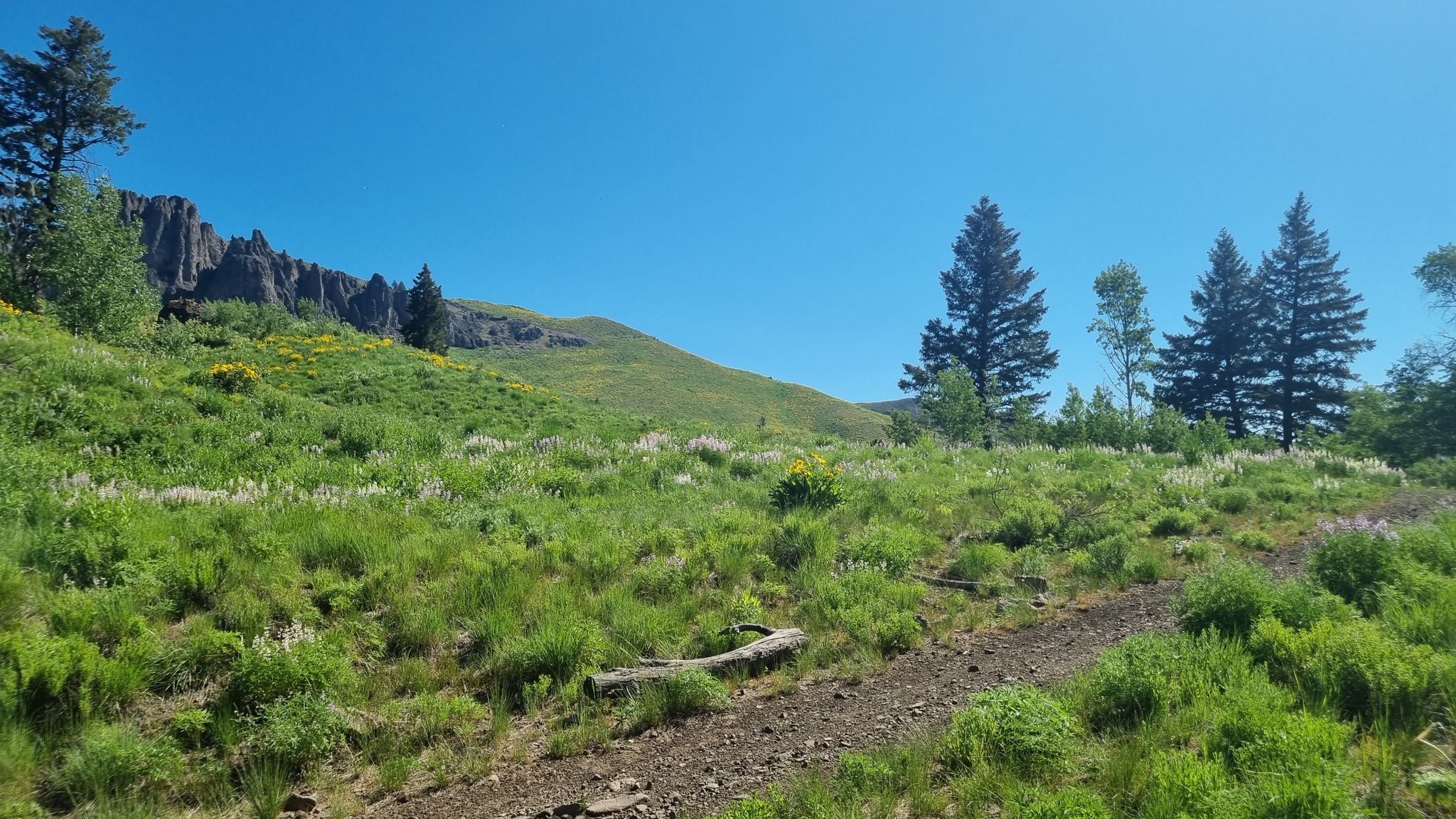 A green hillside with rocky cliffs and evergreen trees under a clear sky. - Mountainbike loop from Hemingway/Northwood Natural Area