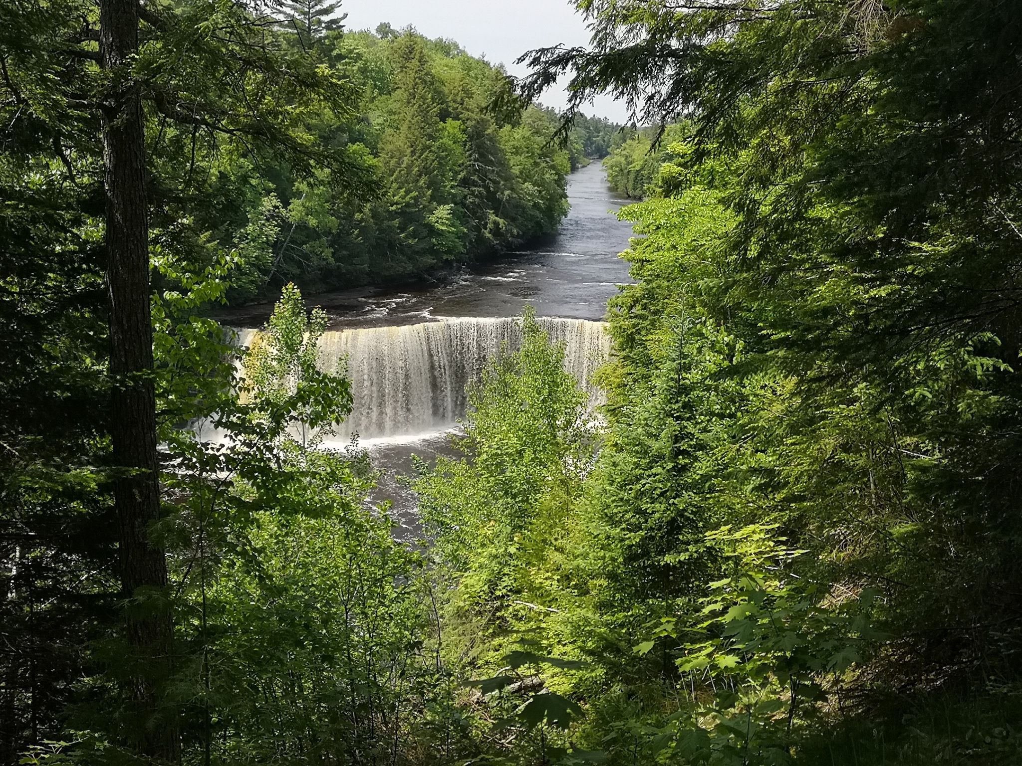 A wide waterfall cascades into a river surrounded by dense green forest. - Tahquamenon Falls Upper Falls Loop