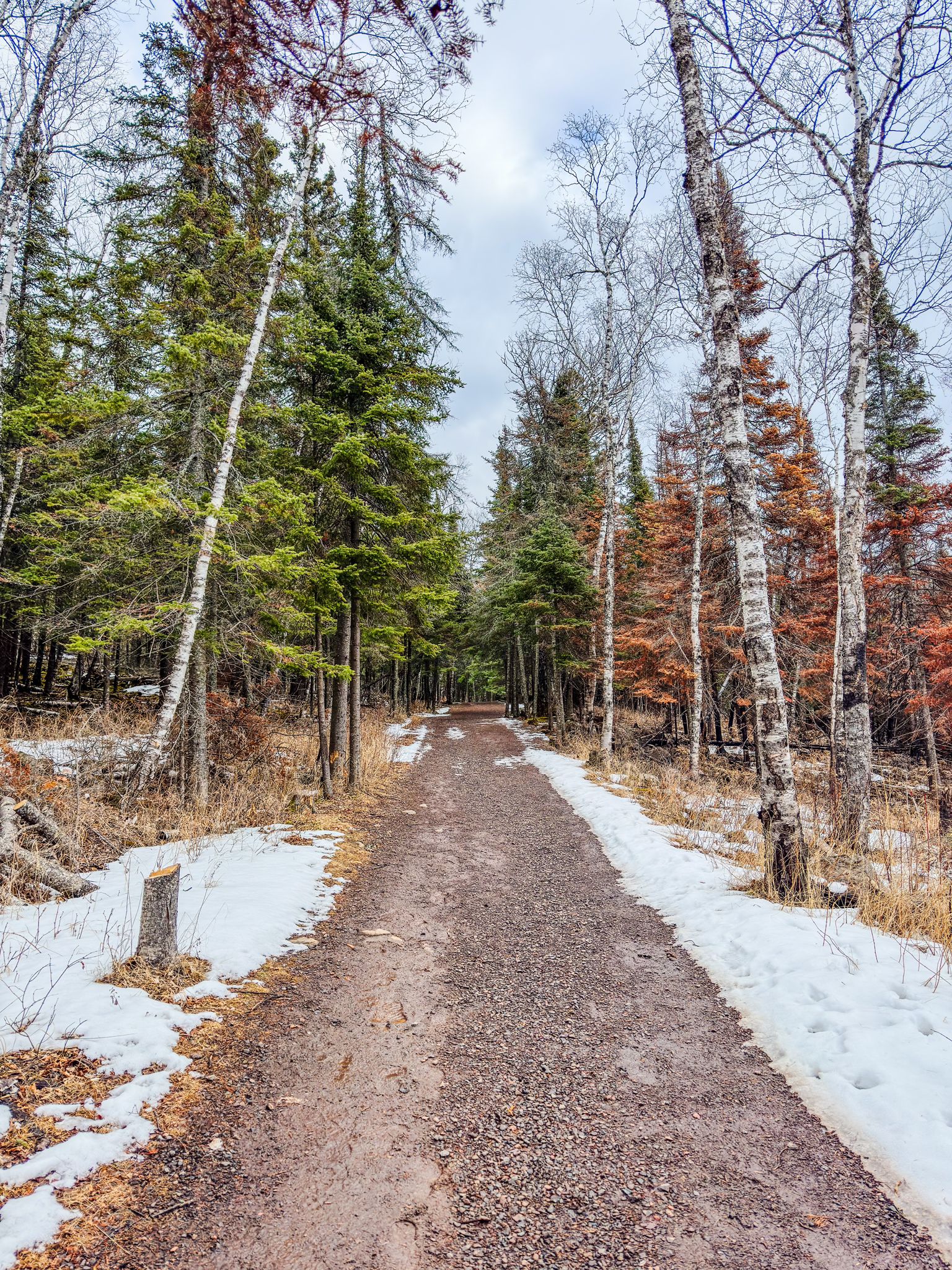A dirt path winds through a snowy forest under an overcast sky. - View of Split Rock Lighthouse loop from Split Rock Lighthouse