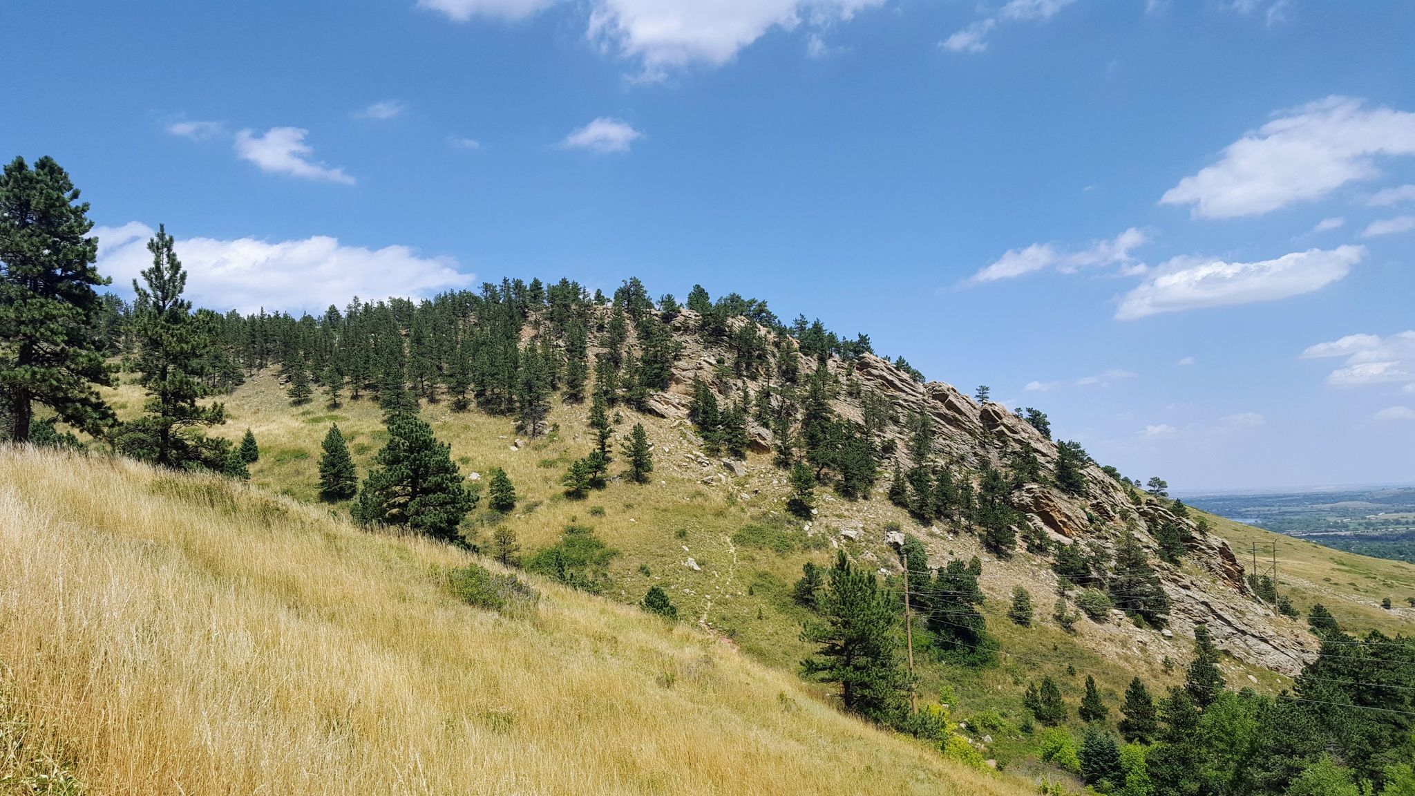 Sunny hillside with dry grass, pine trees, and rocky formations under blue sky. - Green Mountain and Bear Canyon Loop