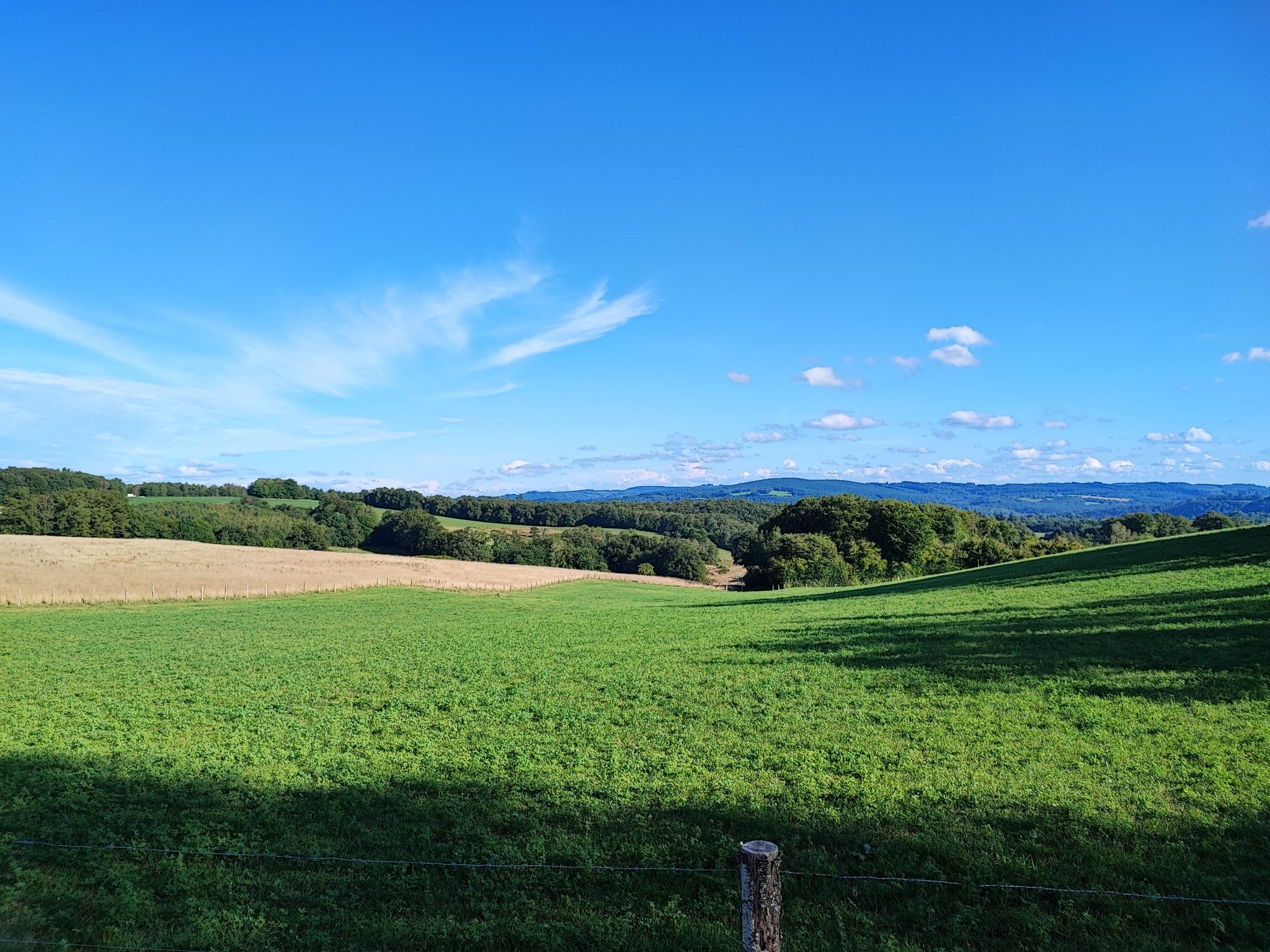pommier