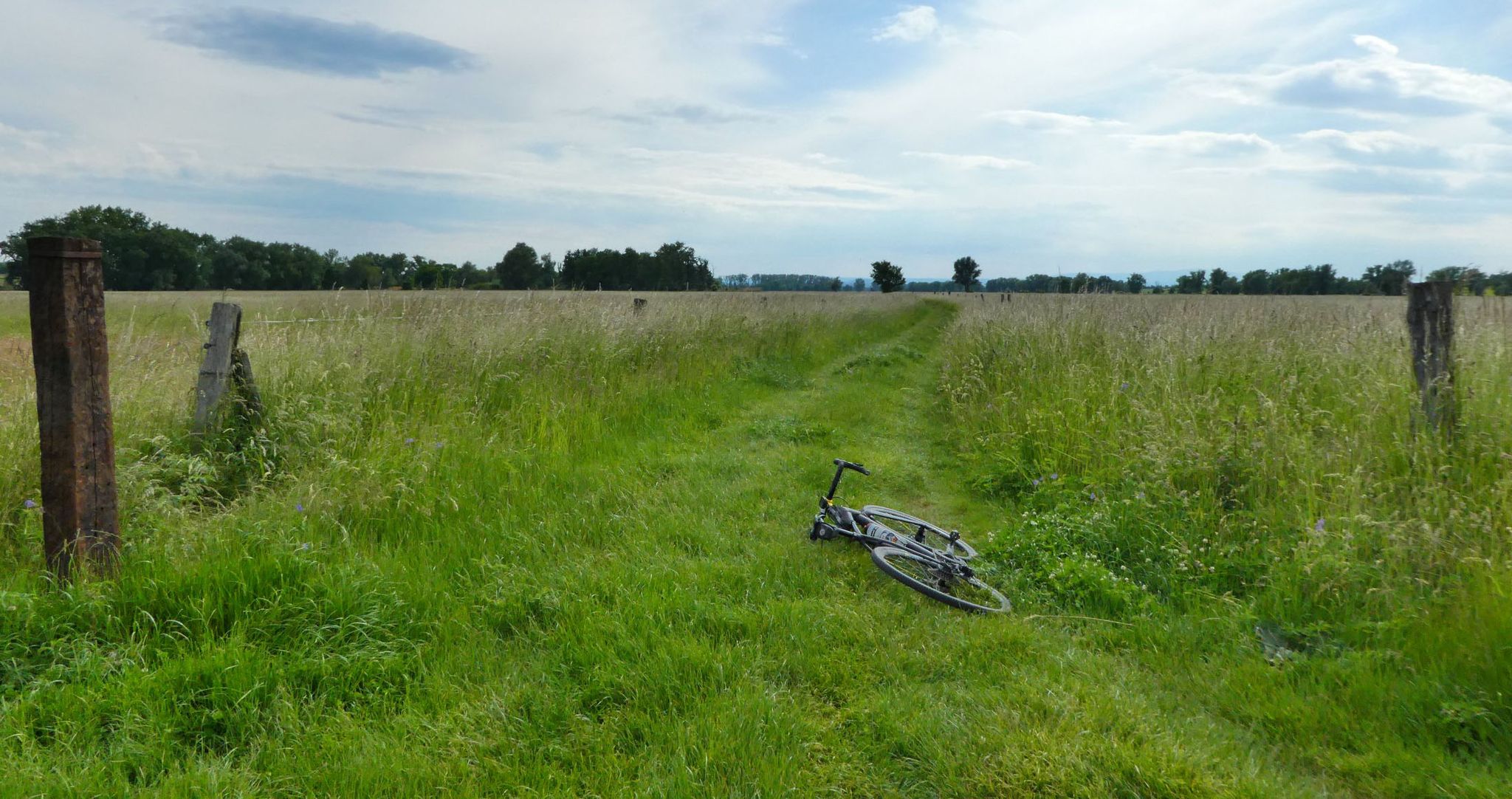 Weg zum Kloster Gröningen