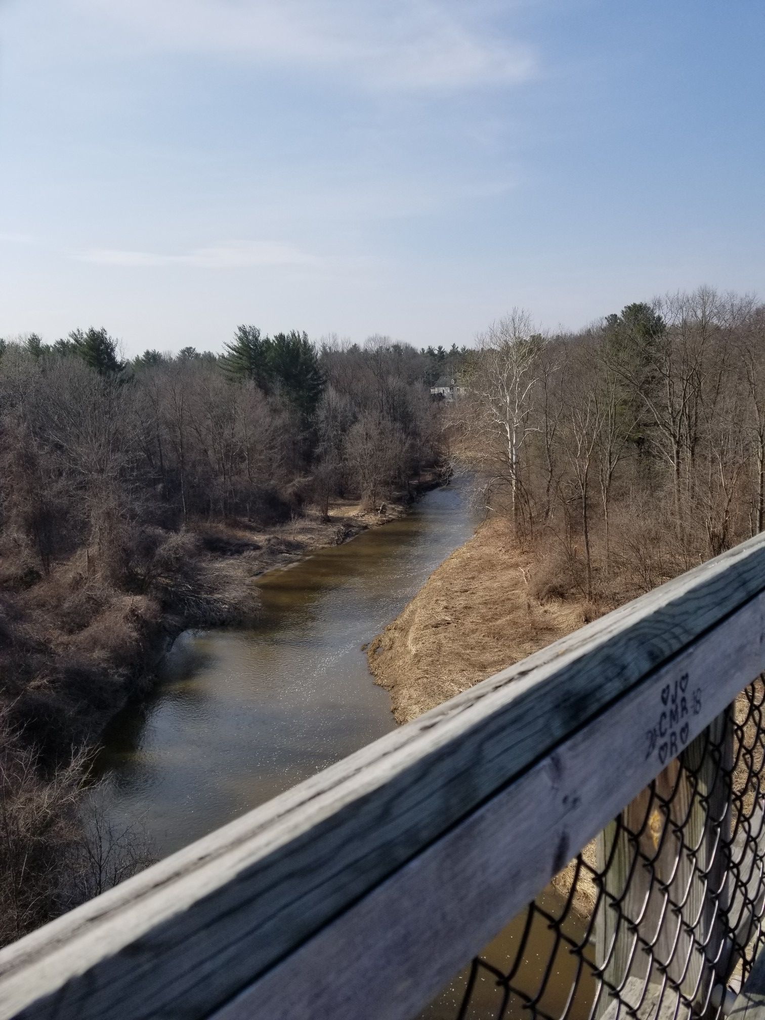 A river flows through a bare winter forest under a bright sky. - Mill Creek Trestle Bridge loop from Sharon Rose Leonatti Memorial Plant Preserve