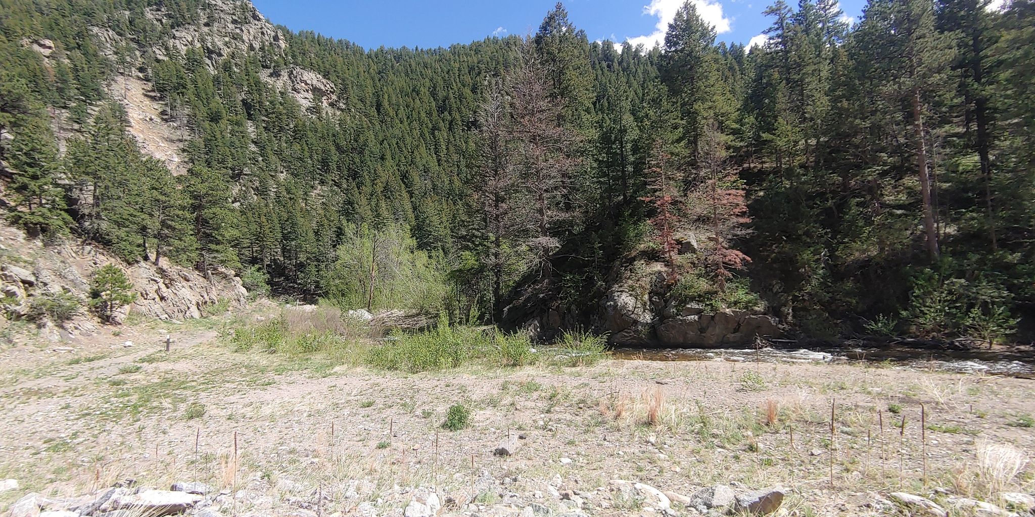 Wide riverbed next to a dense pine forest and rocky mountain. - Ward via Lefthand Canyon