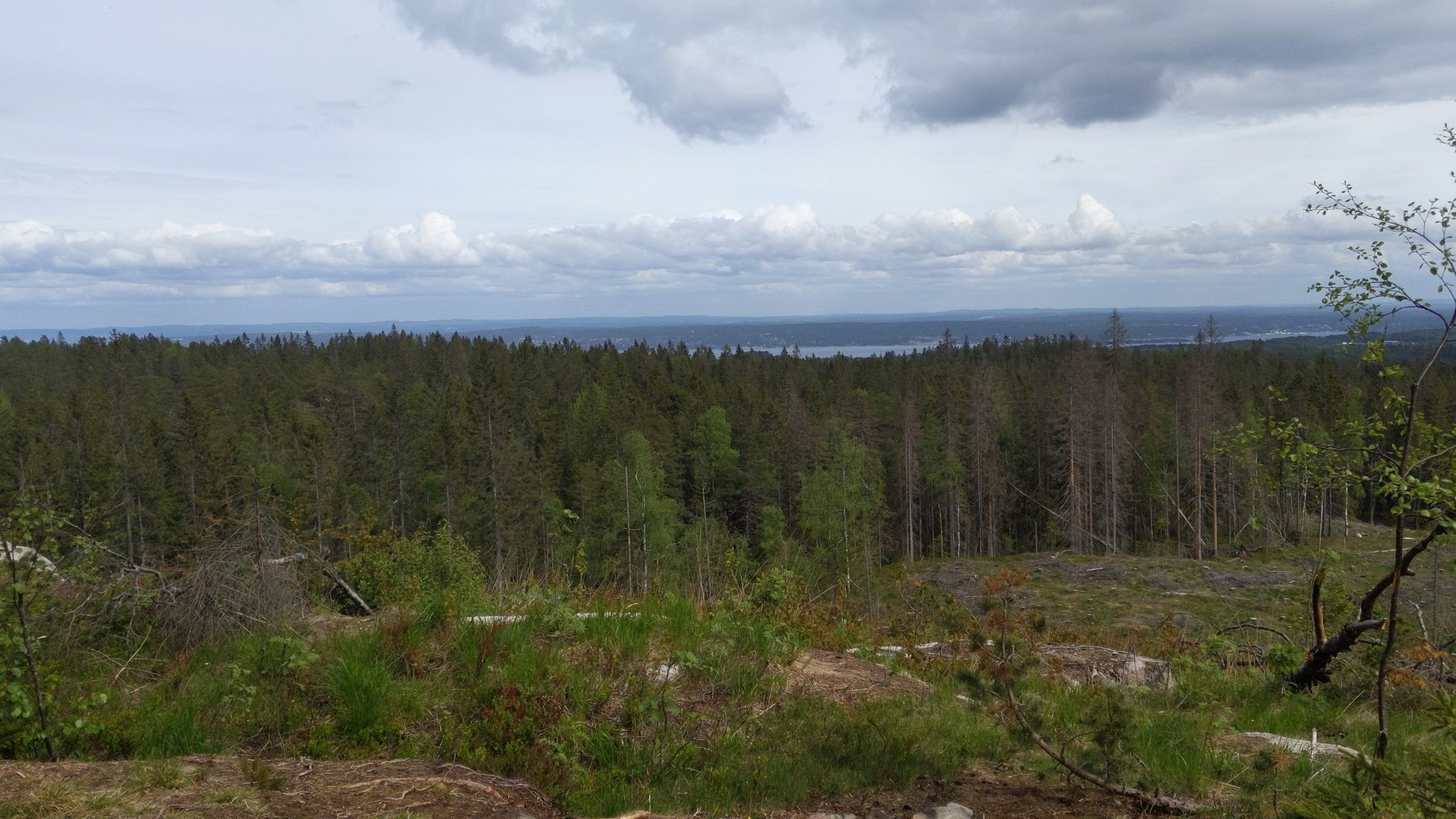 viewpoint