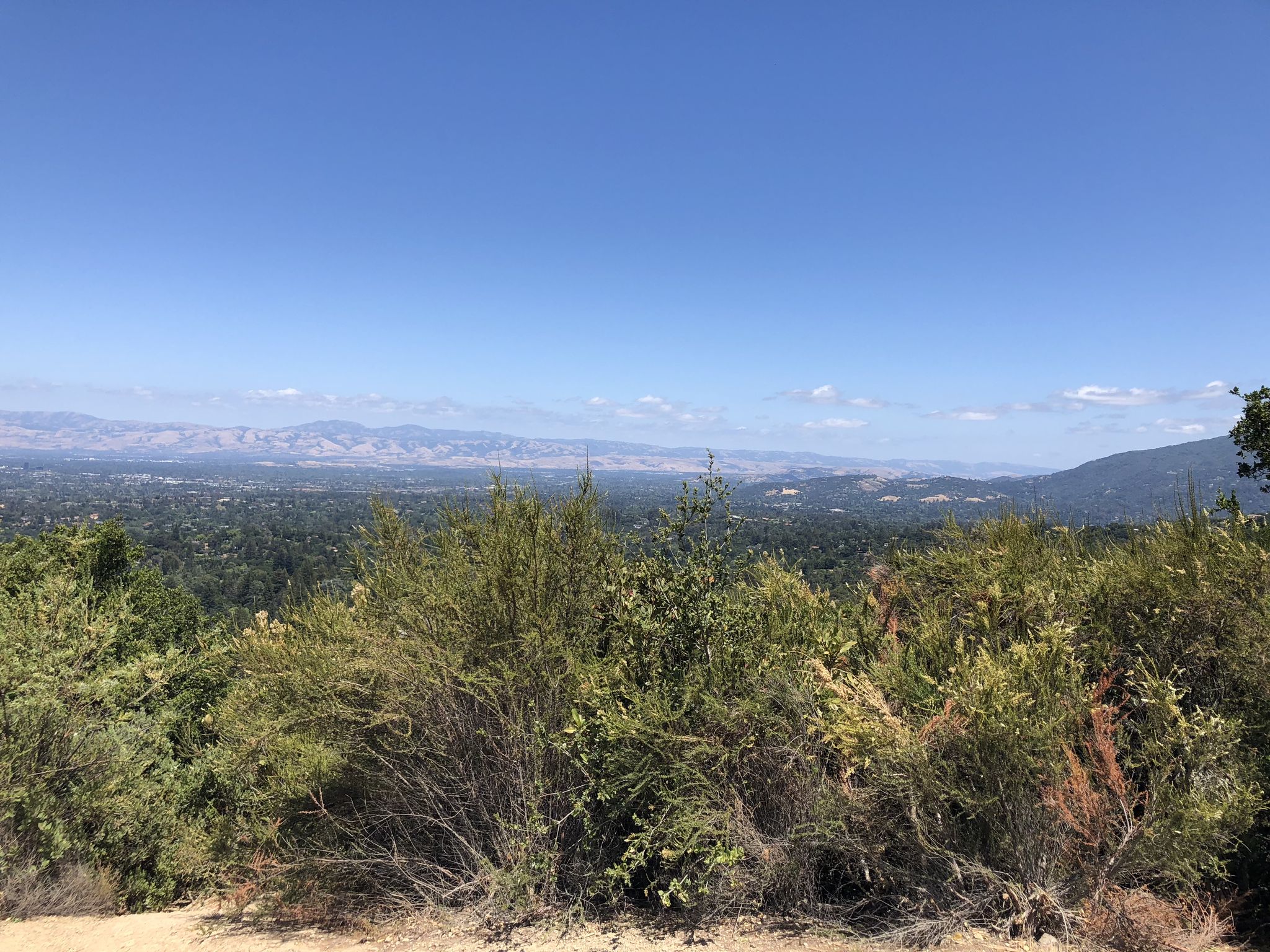 Expansive view of a forested valley and distant mountains under a clear sky. - Lookout and Redwood Trail Loop
