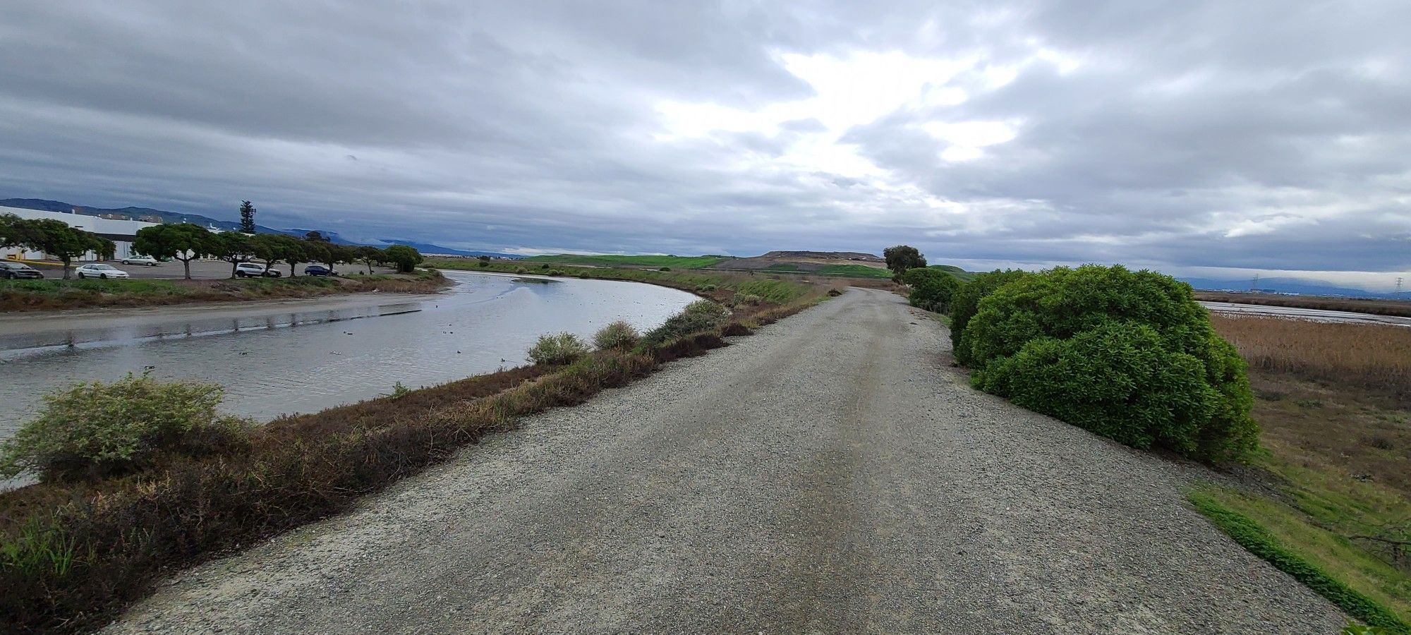 A gravel path next to water and green bushes under a cloudy sky. - Coyote Creek Lagoon Trail