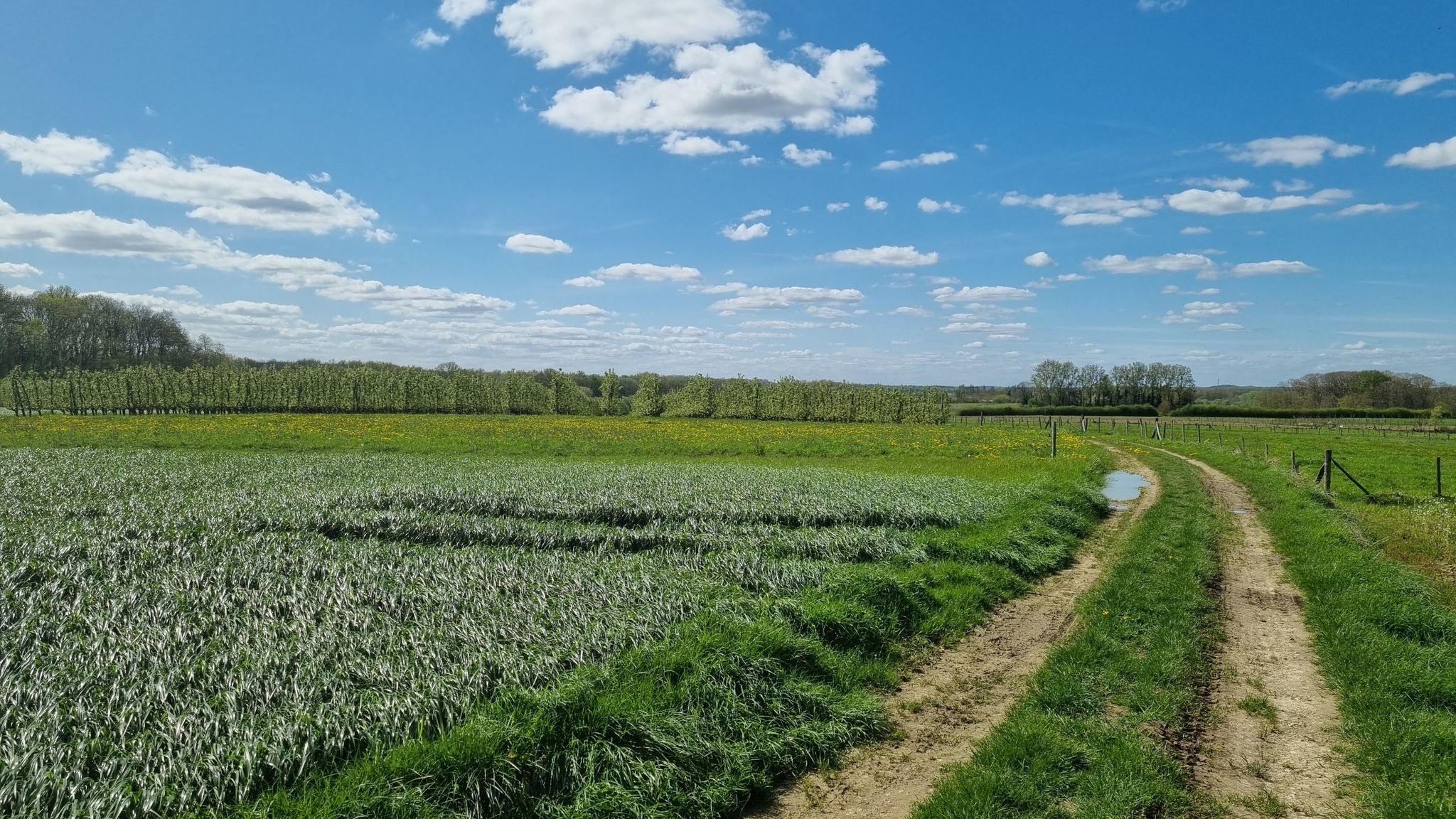Mooie landweg