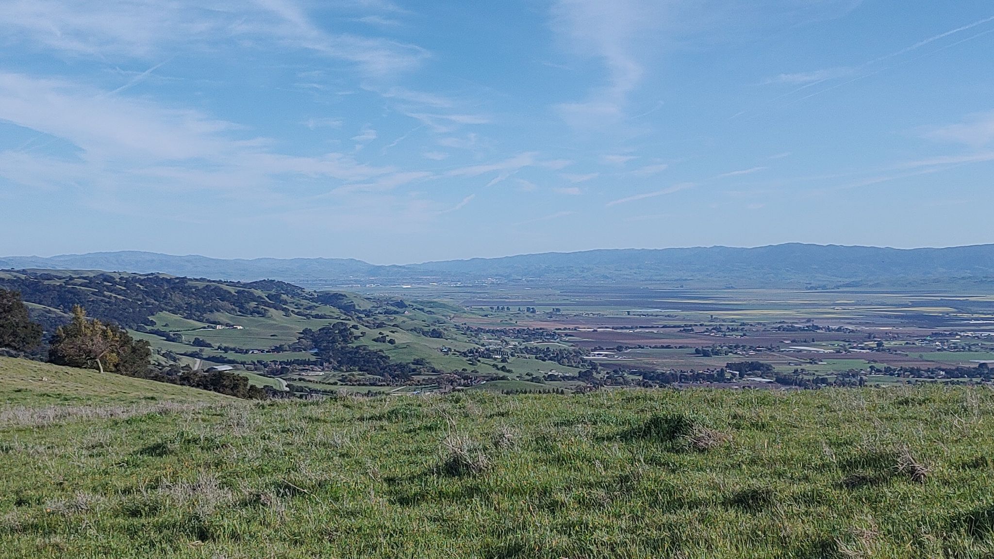 Green rolling hills overlook a vast valley with distant mountains under a blue sky. - Coyote Lake loop from Mendoza Ranch Entrance