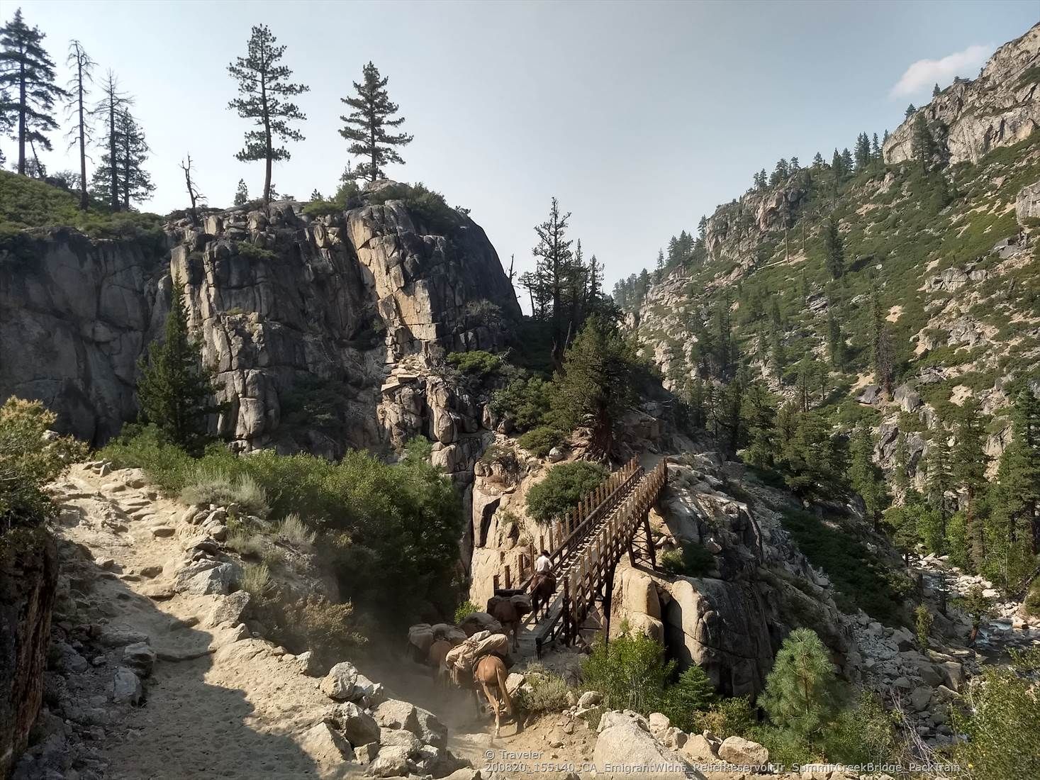 Wooden bridge over a rocky gorge with pack animals on a trail. - Relief Reservoir Trail