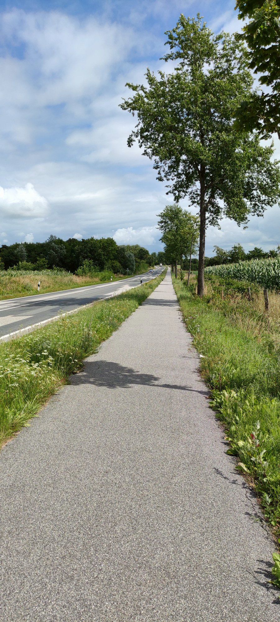 Das Ende nicht in Sicht 😕