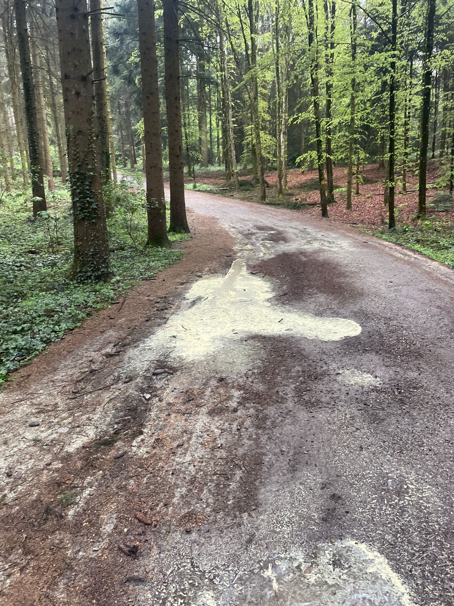 Viel Blütenstaub