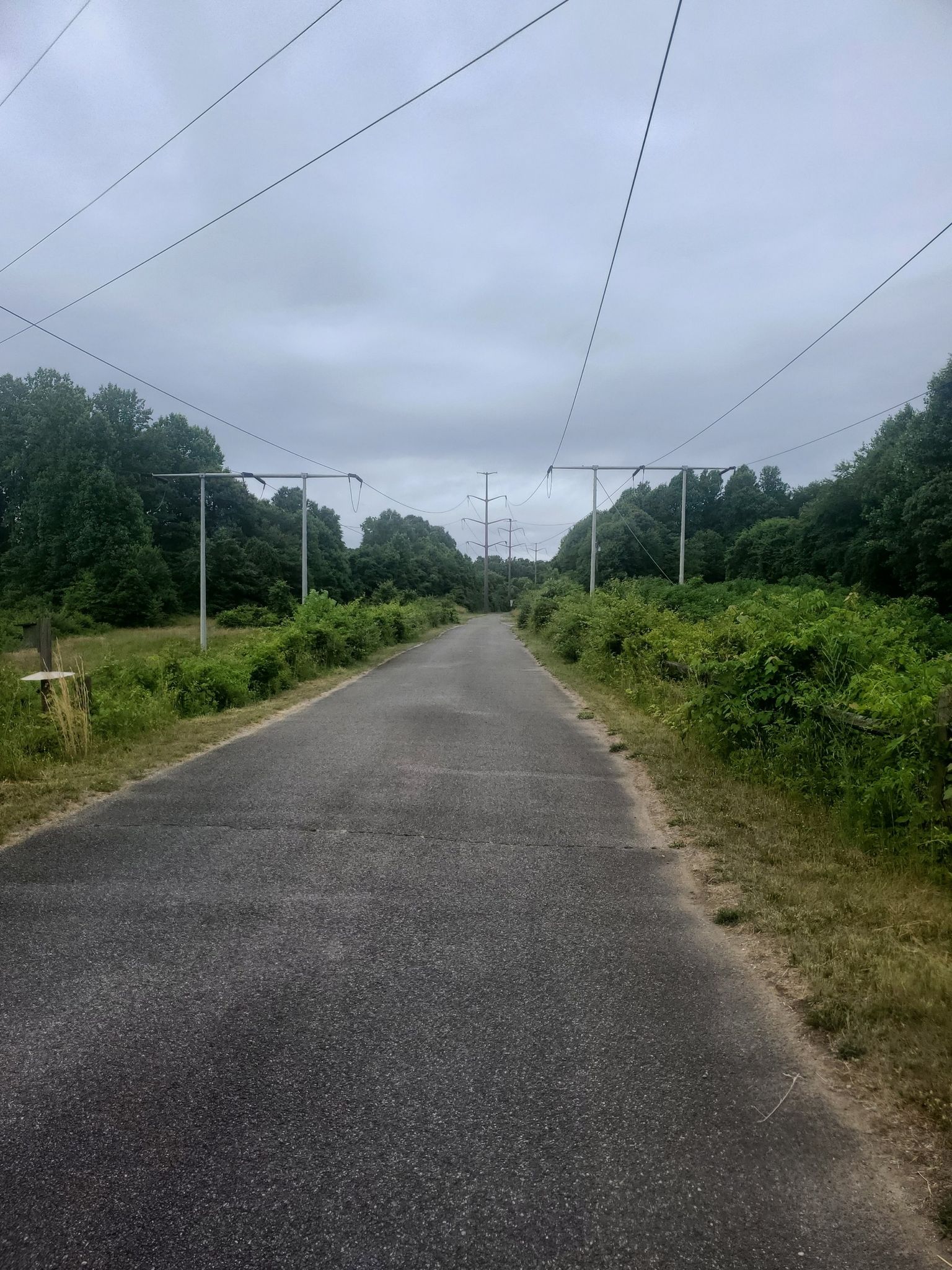 Paved path under power lines, surrounded by lush green foliage. - WB&A trail – WB&A Trail loop from New Carrollton