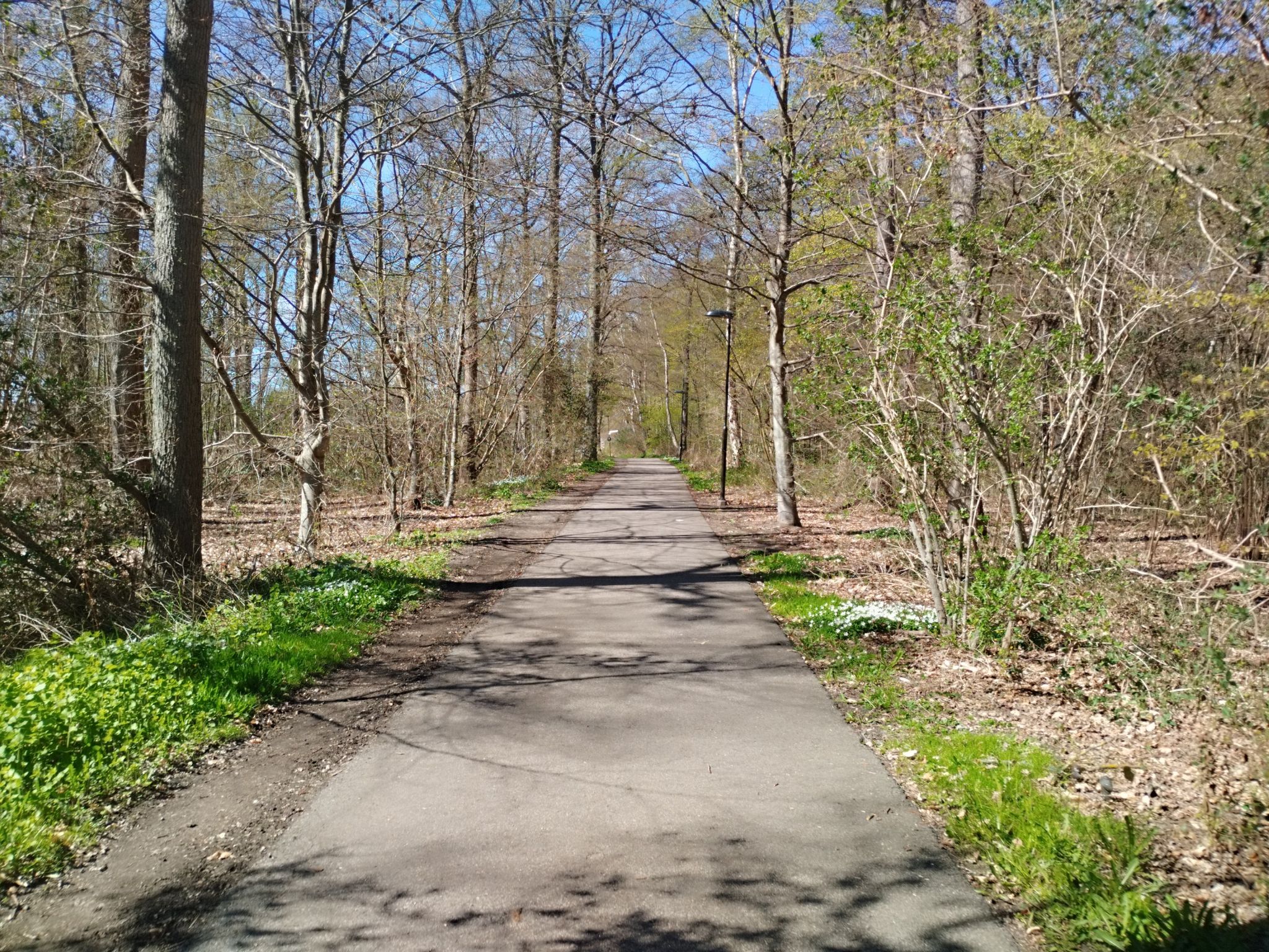 Kattegattradweg