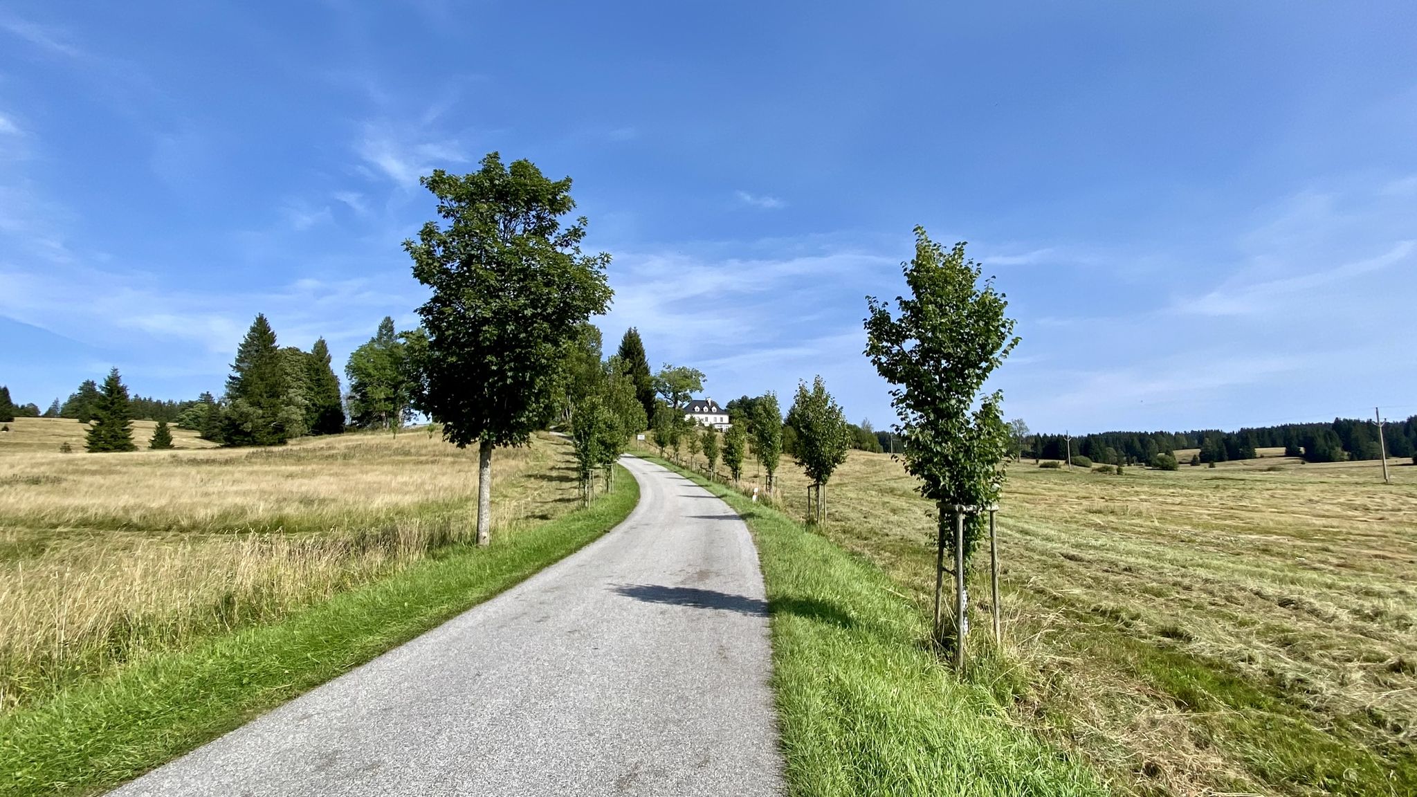 Allee rauf nach Buchers