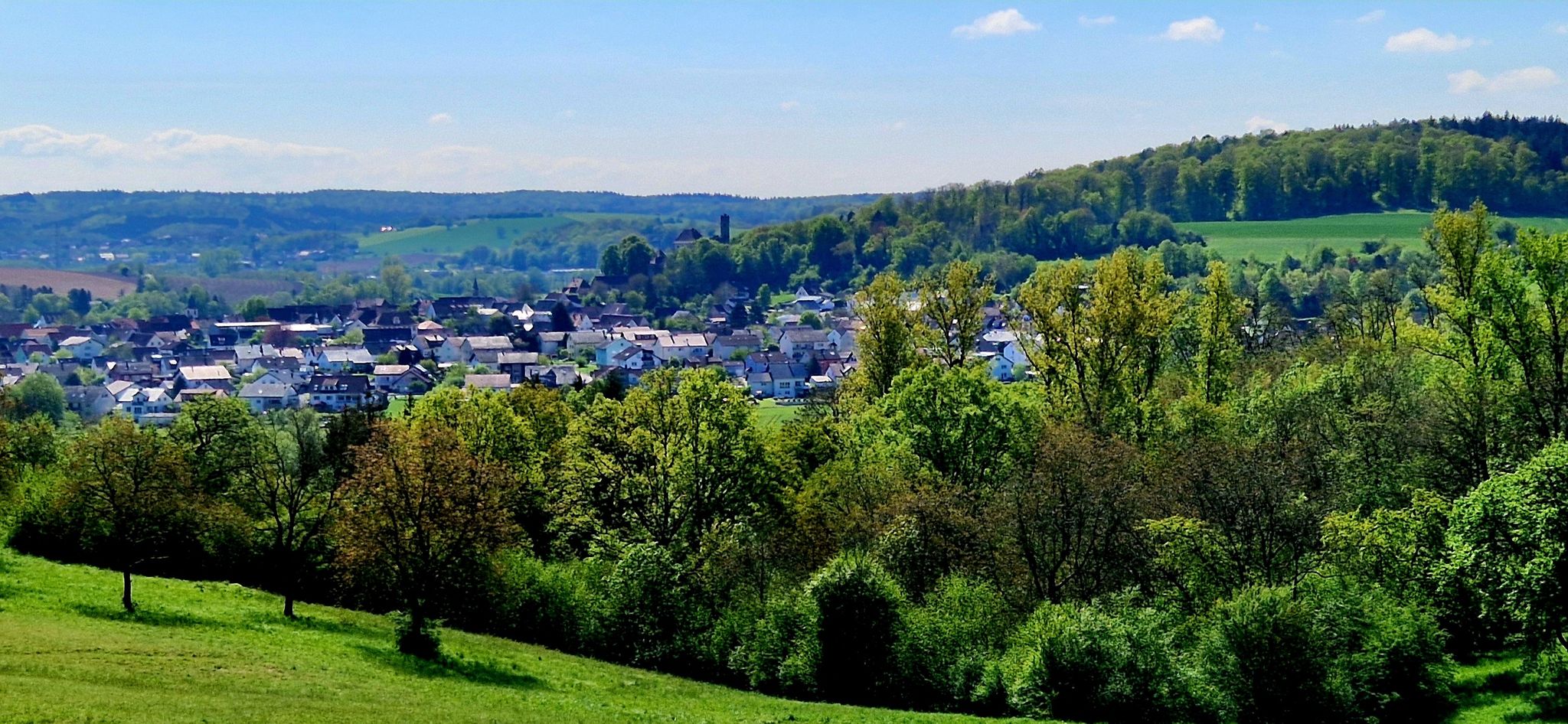 Blick auf Neidenstein