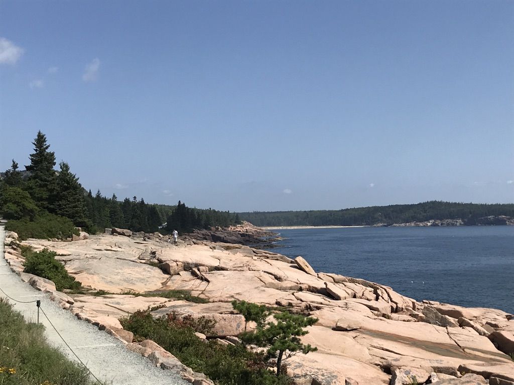 Wide rocky coastline with a paved path, distant ocean, and evergreen trees. - Ocean Path Trail