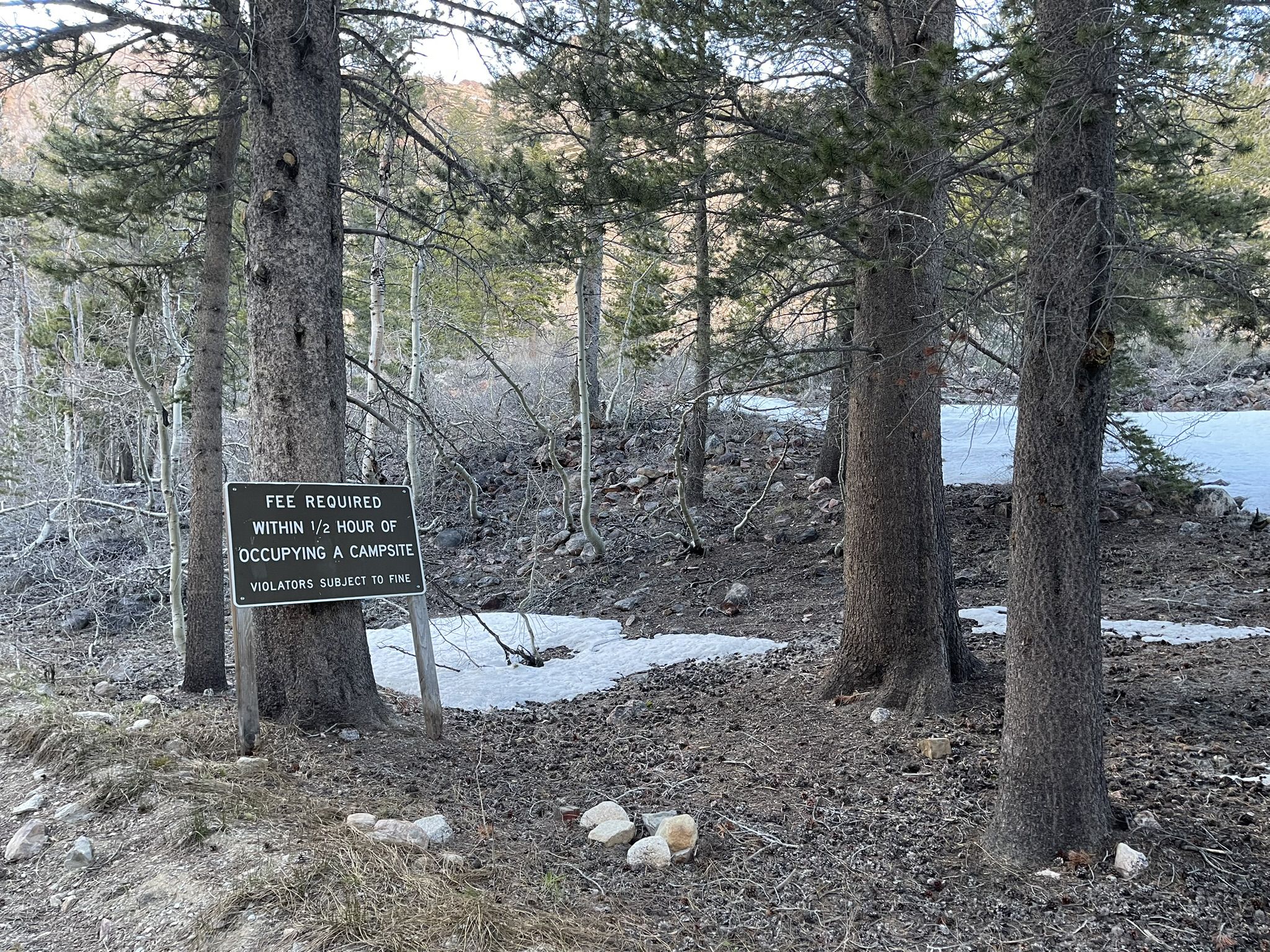 A 'Fee Required' sign stands among pine trees with patches of snow. - Hiking loop from Aspendell
