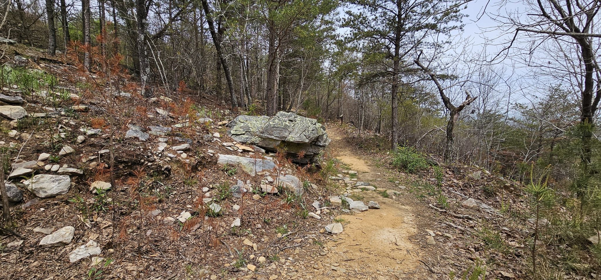 Dirt trail winds past large rocks and bare trees in a forest. - Cheaha Mountain via Lake Trail