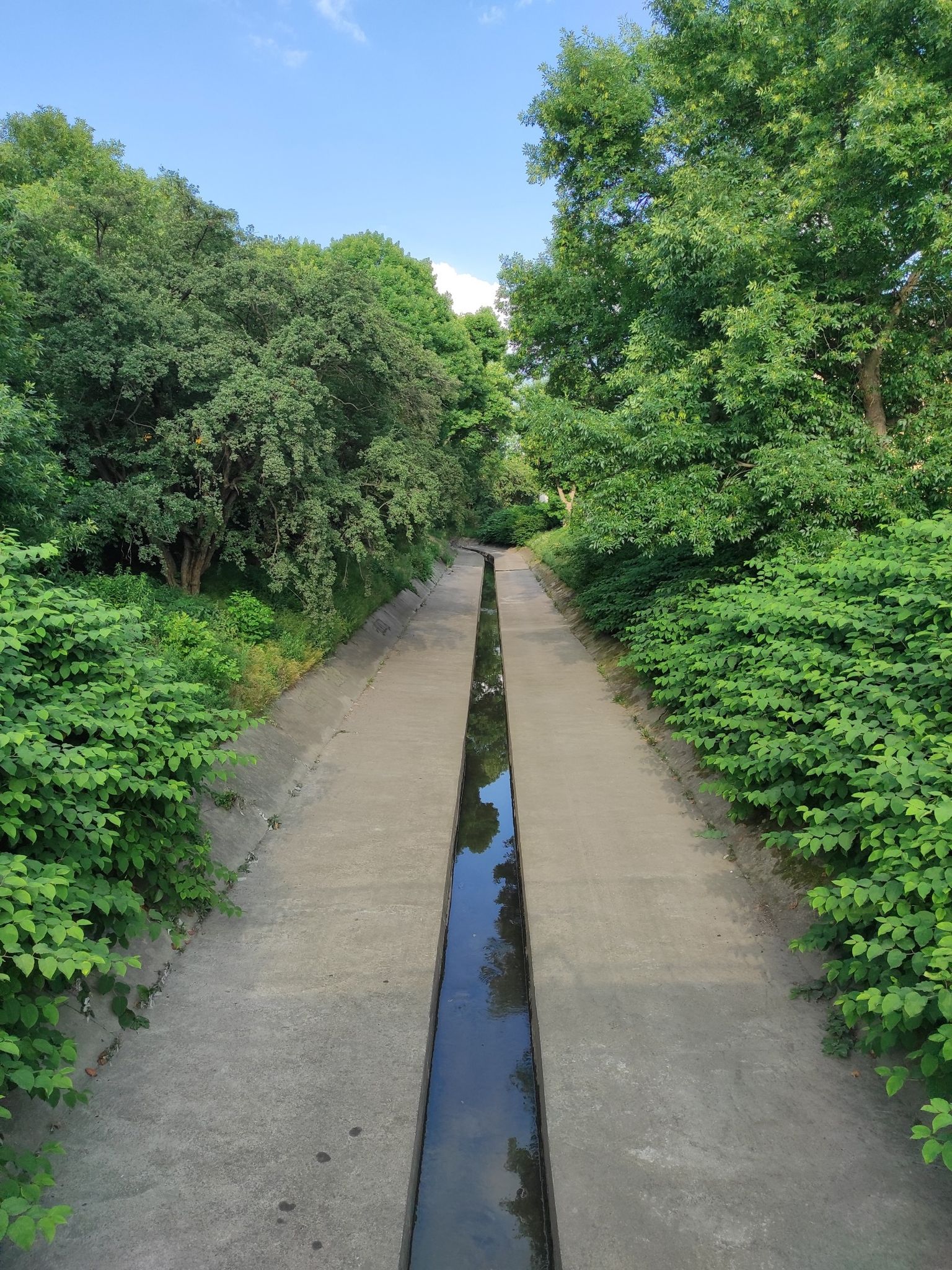 channel view