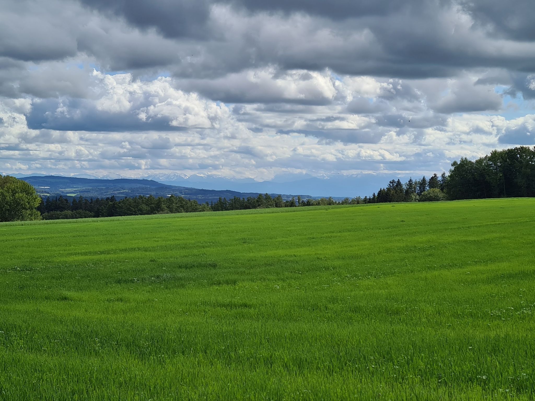 Blick von Schwende über den See auf die Alpen