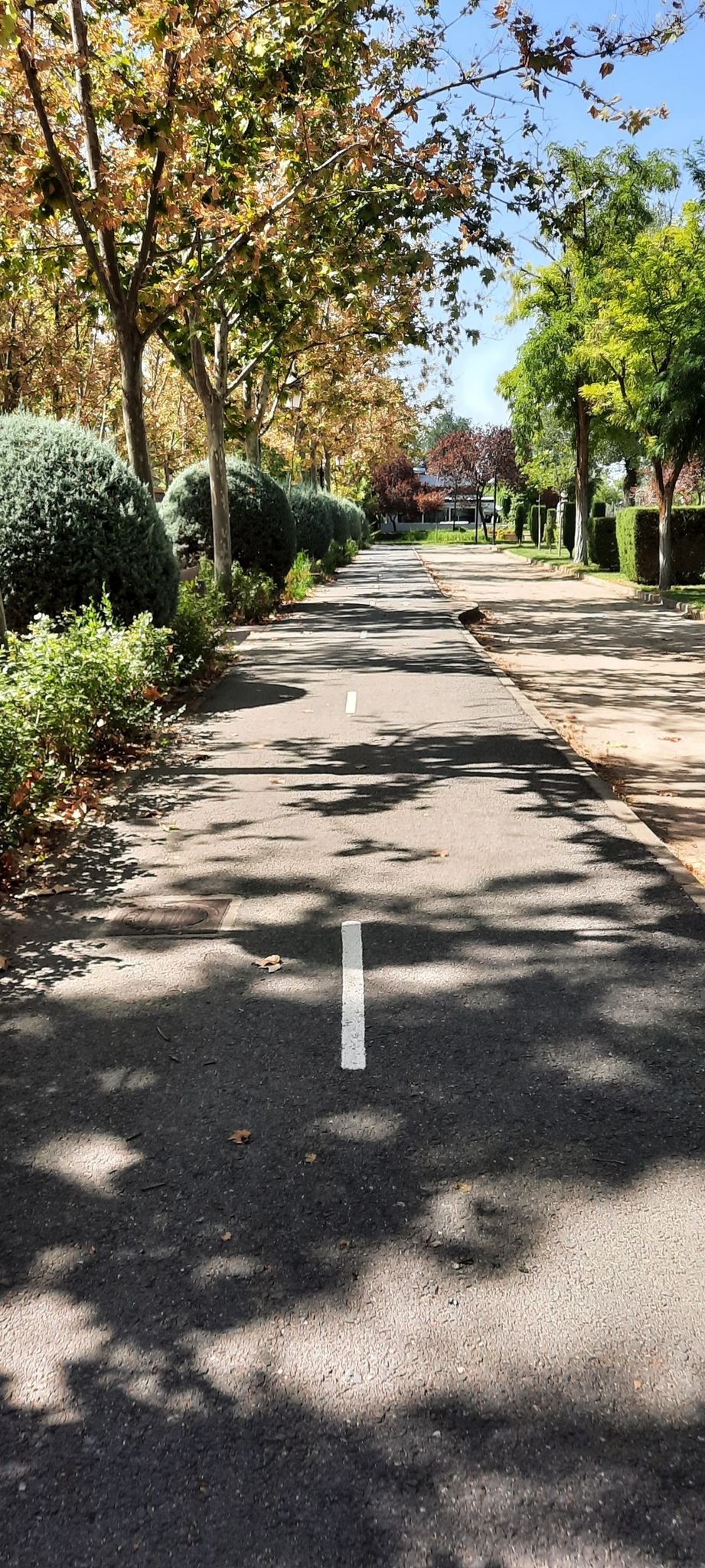 Carril bici