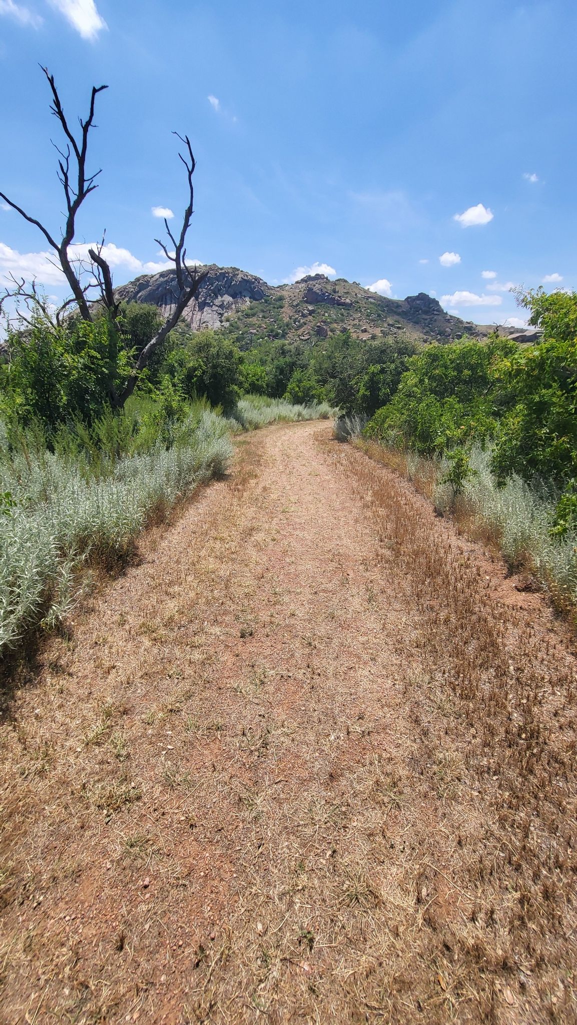 A dirt path leads towards a rocky hill under a bright blue sky. - Quartz Mountain