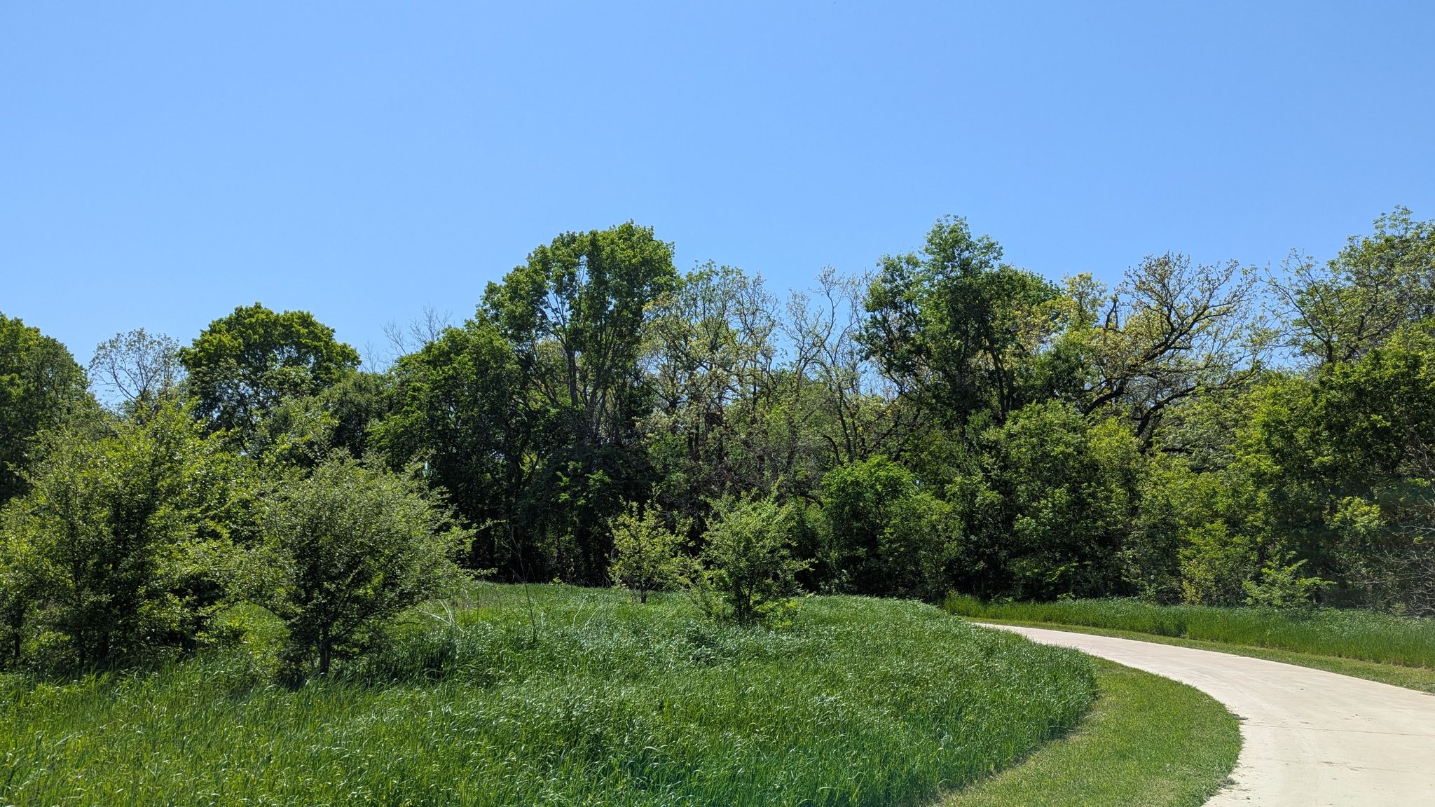 A paved path curves through a grassy field with lush green trees. - Oak Point Park Pond – Allen Old Stone Dam loop from Lovejoy High School