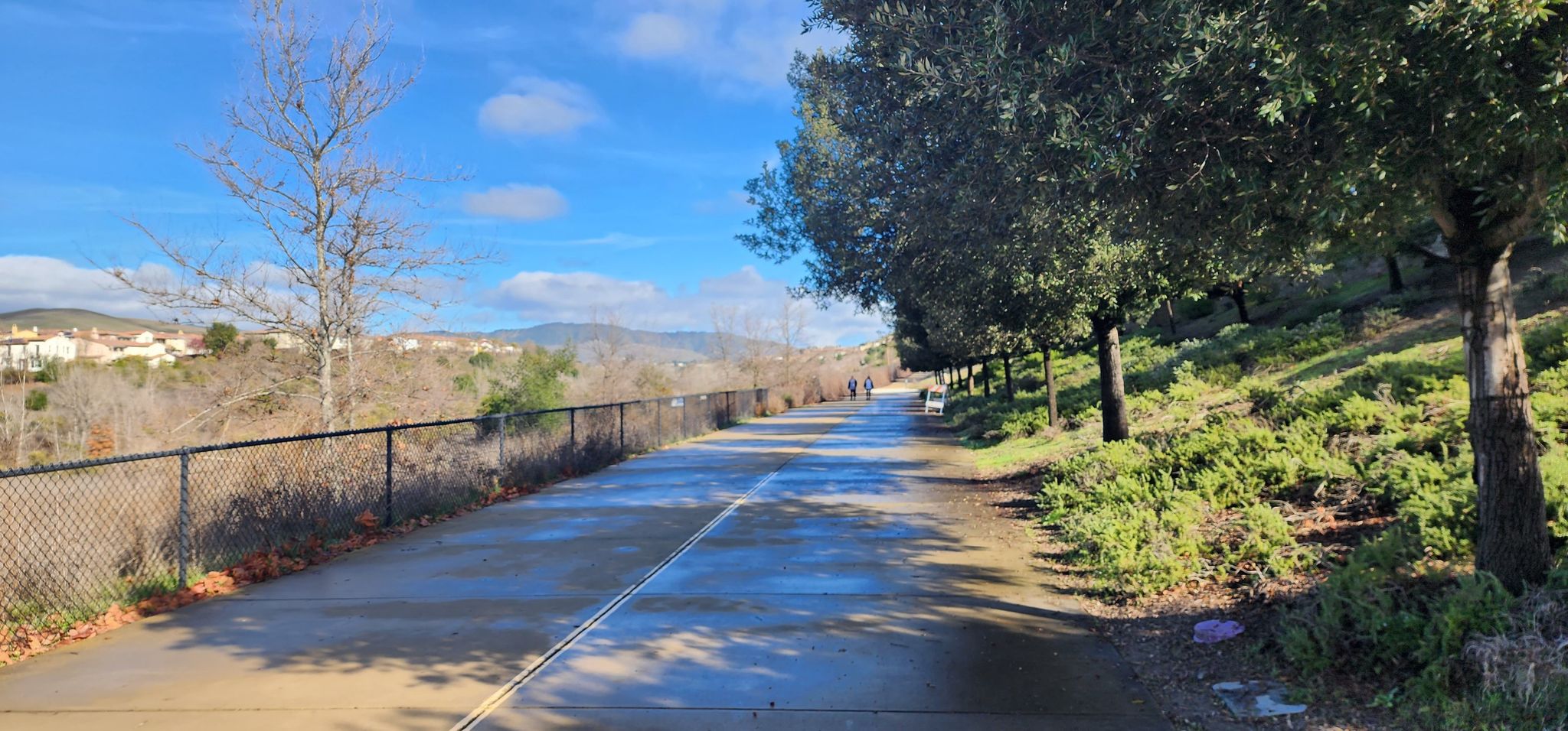 Sunny paved path with distant walkers, green trees, and blue sky. - Monarch, Alamo Creek, and West Alamo Creek Trails Loop