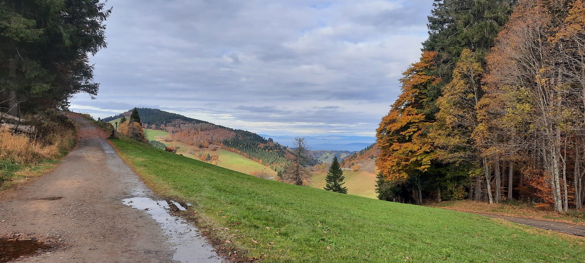 Blick ins Tal vom Wiedner Eck