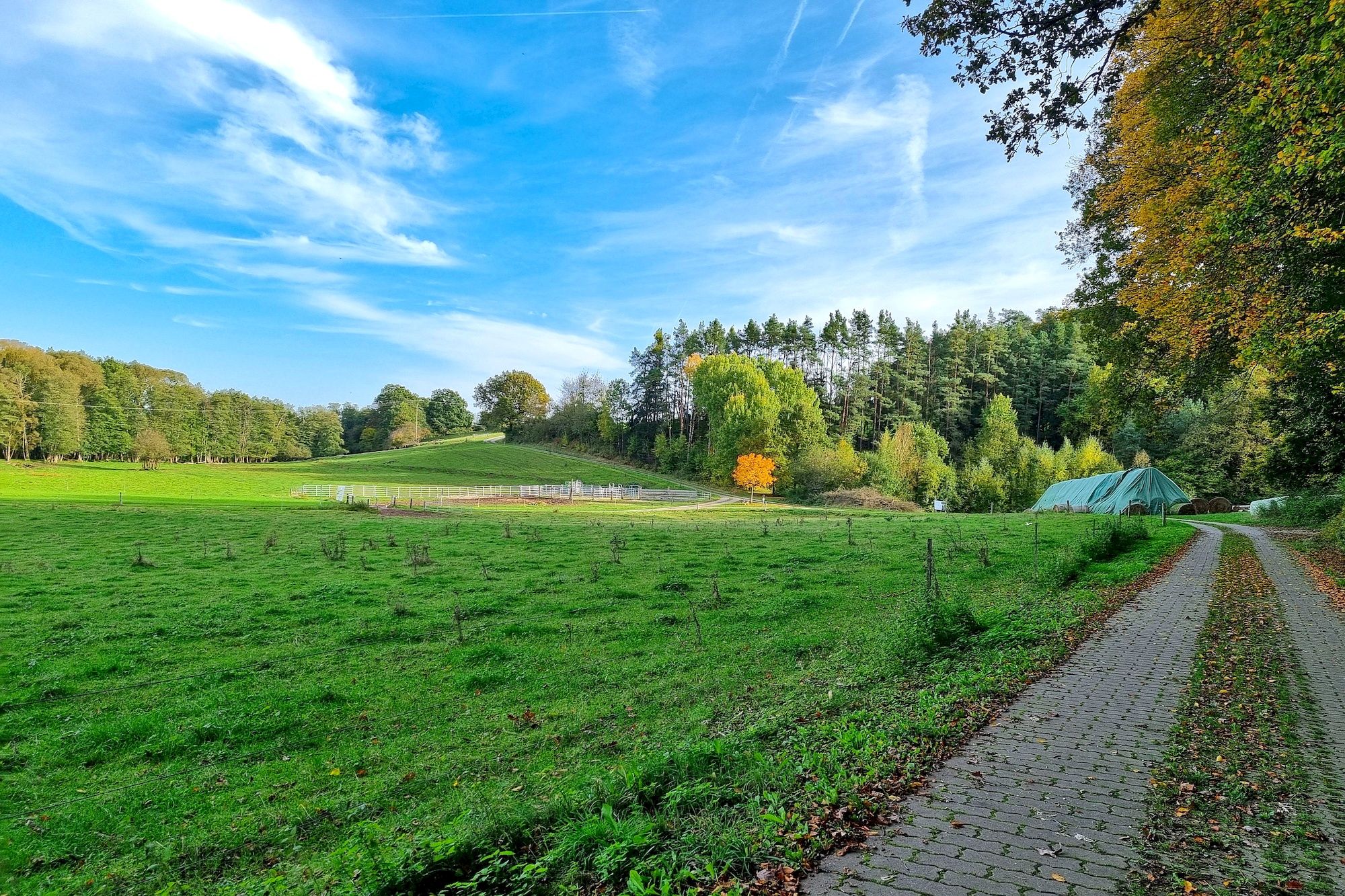 Das Aurachtal bei Zettelsdorf