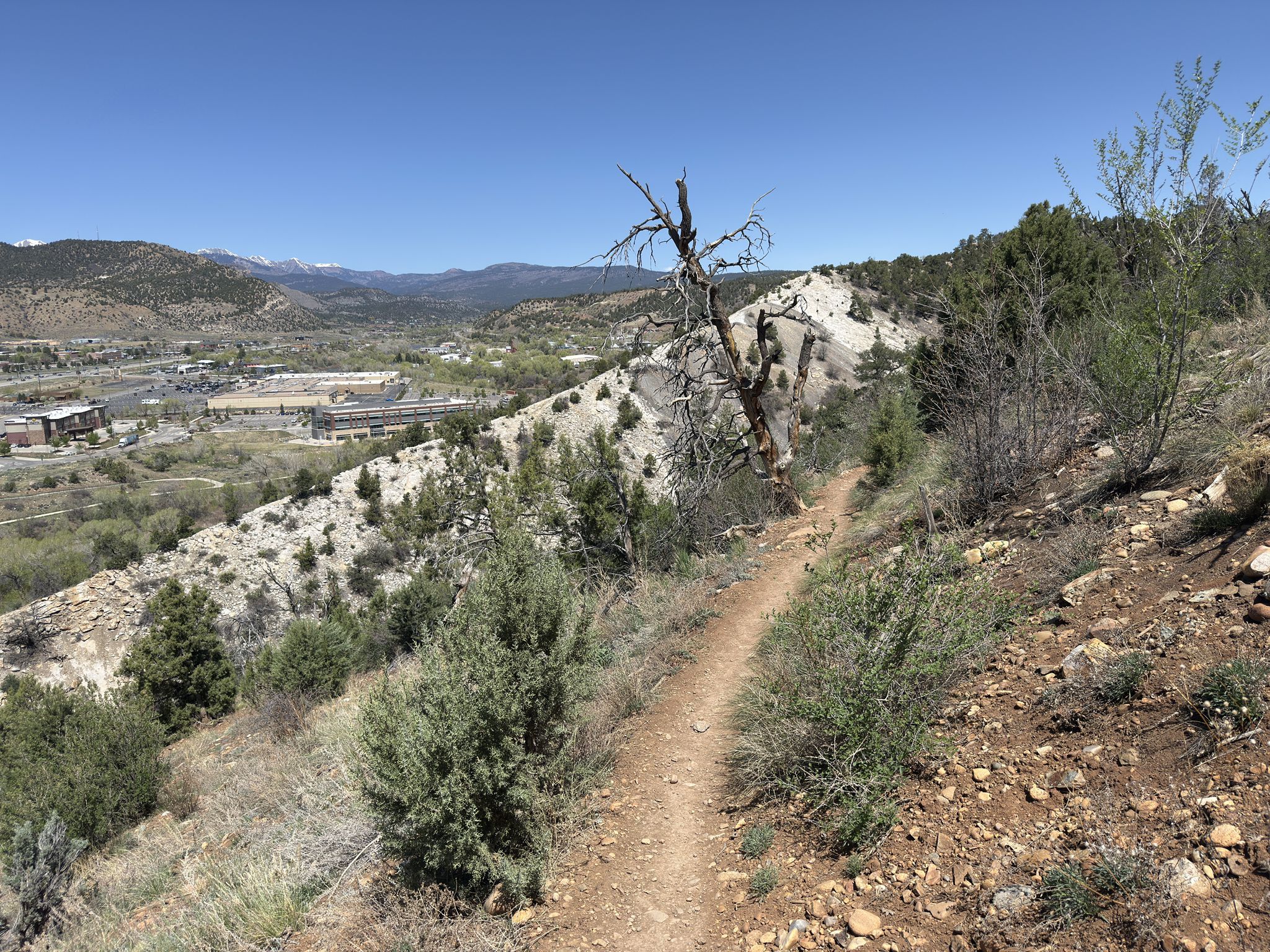 Narrow dirt trail winds along a sunny, arid hillside overlooking a valley. - Animas River and Horse Gulch Loop