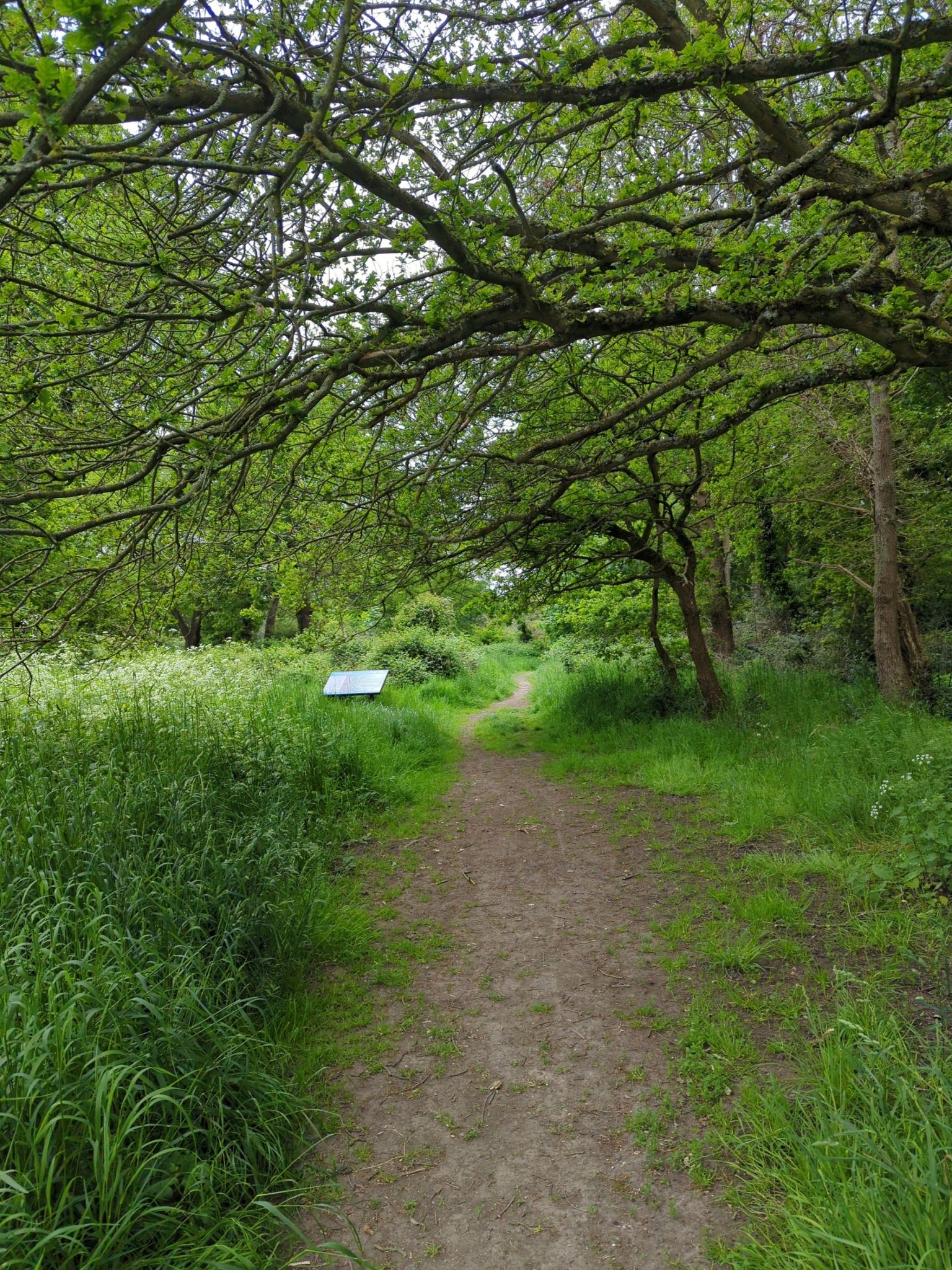 entering Hertford Heath Reserve from the roundings