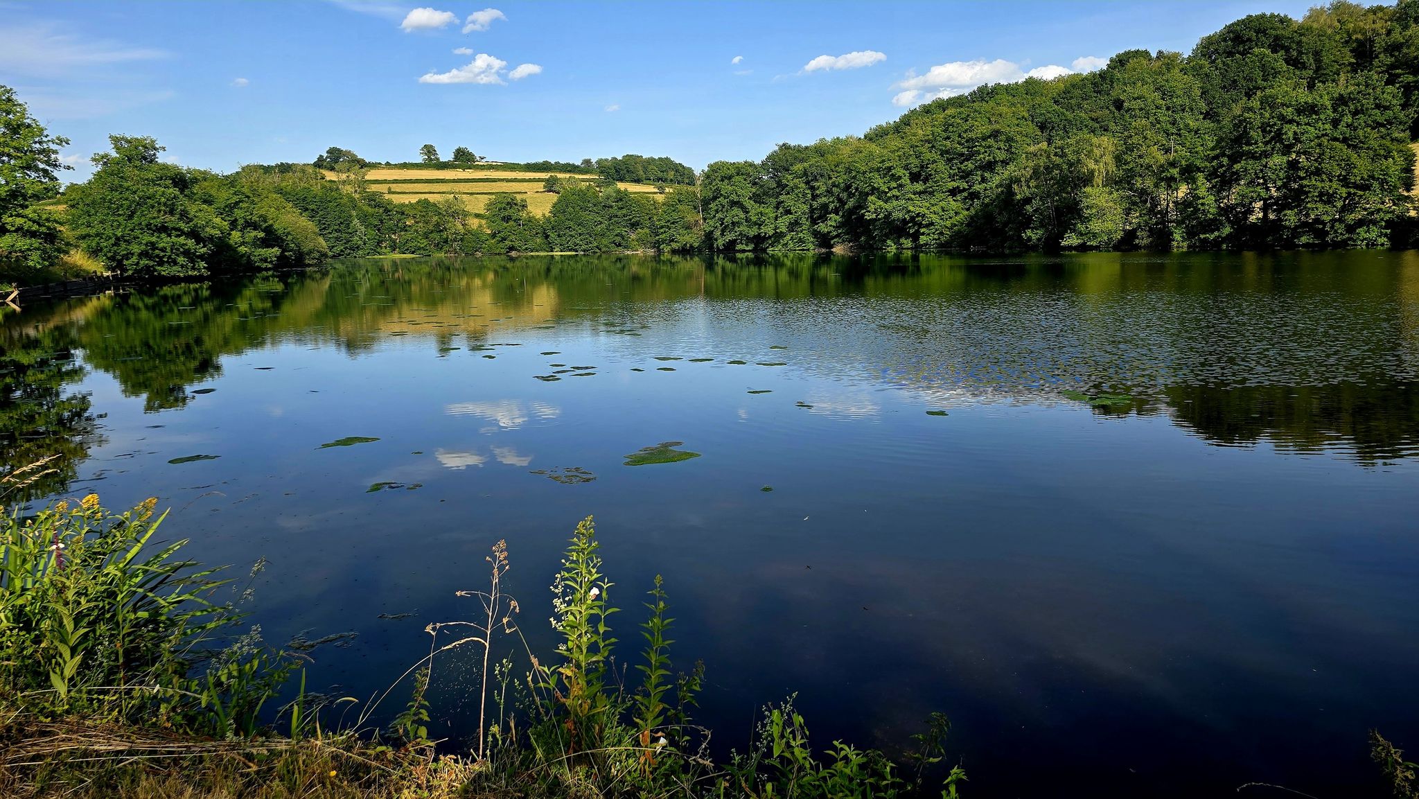 Dorfteich