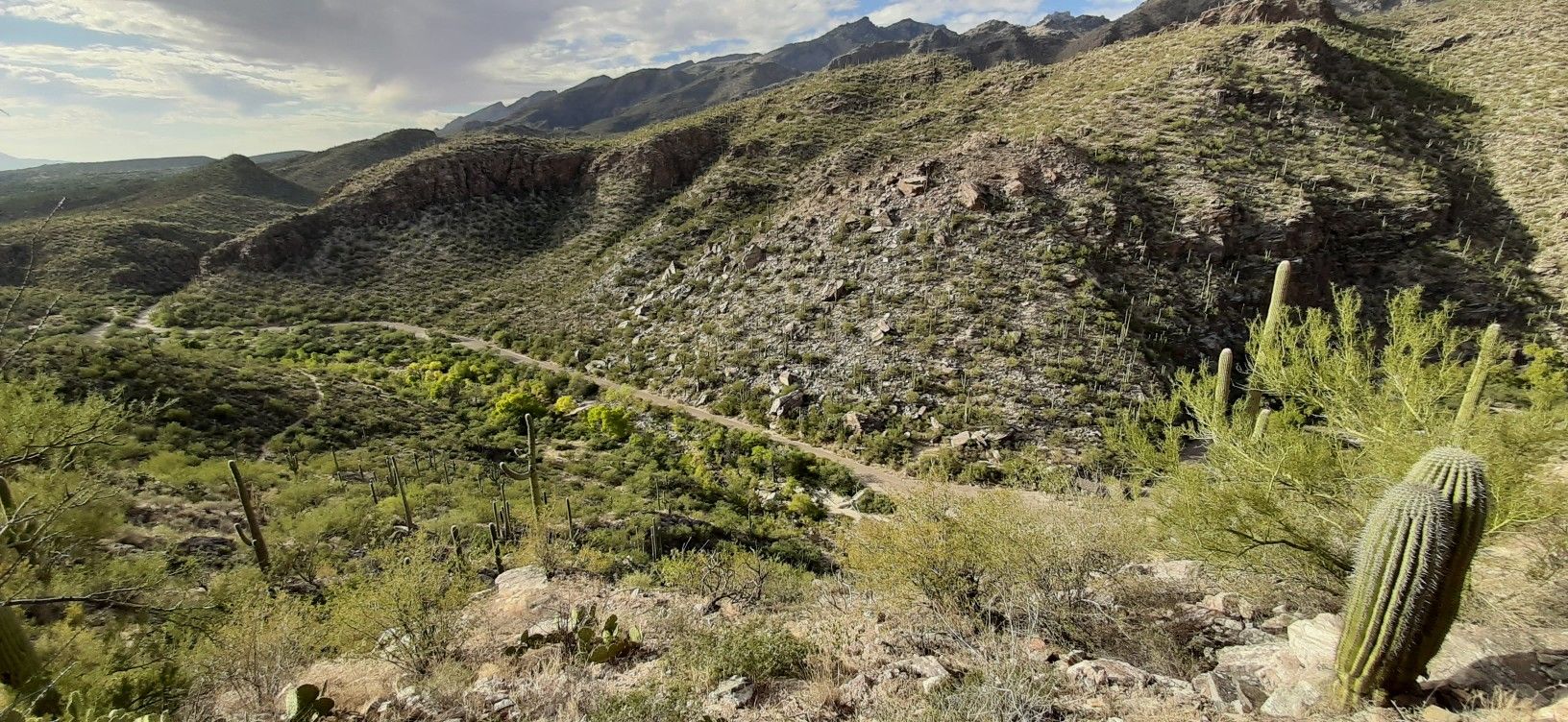 Desert mountain landscape with saguaro cacti under a cloudy sky. - Telephone Line Short Loop