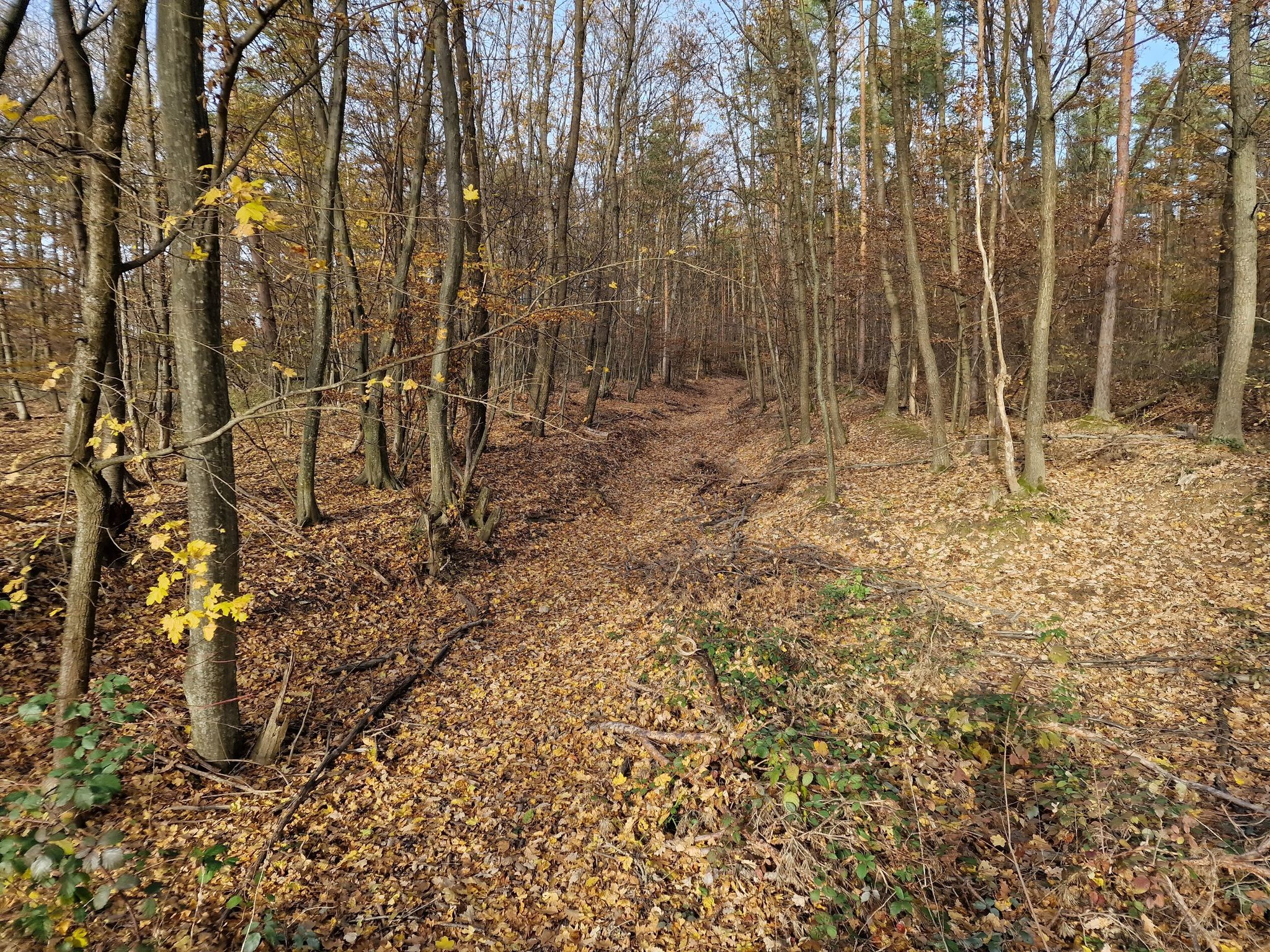 Am Weg Richtung Weppersdorf