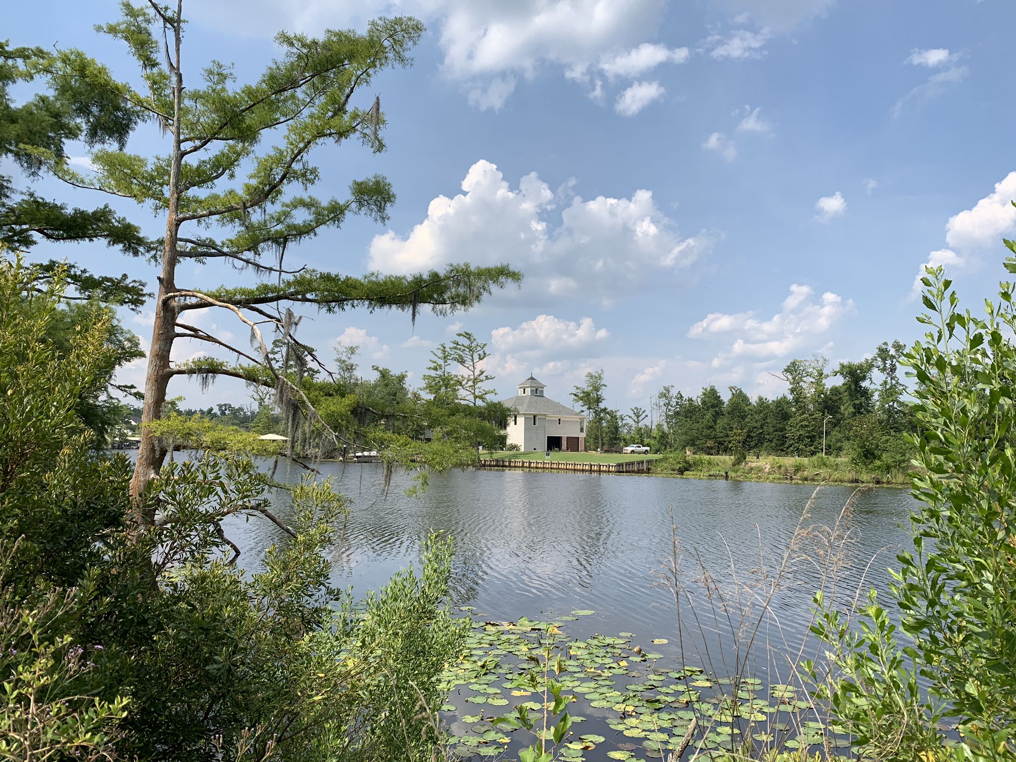 Calm water with a distant house, cypress trees, and a bright, cloudy sky. - Yellow, Blue, & Orange Trails Loop