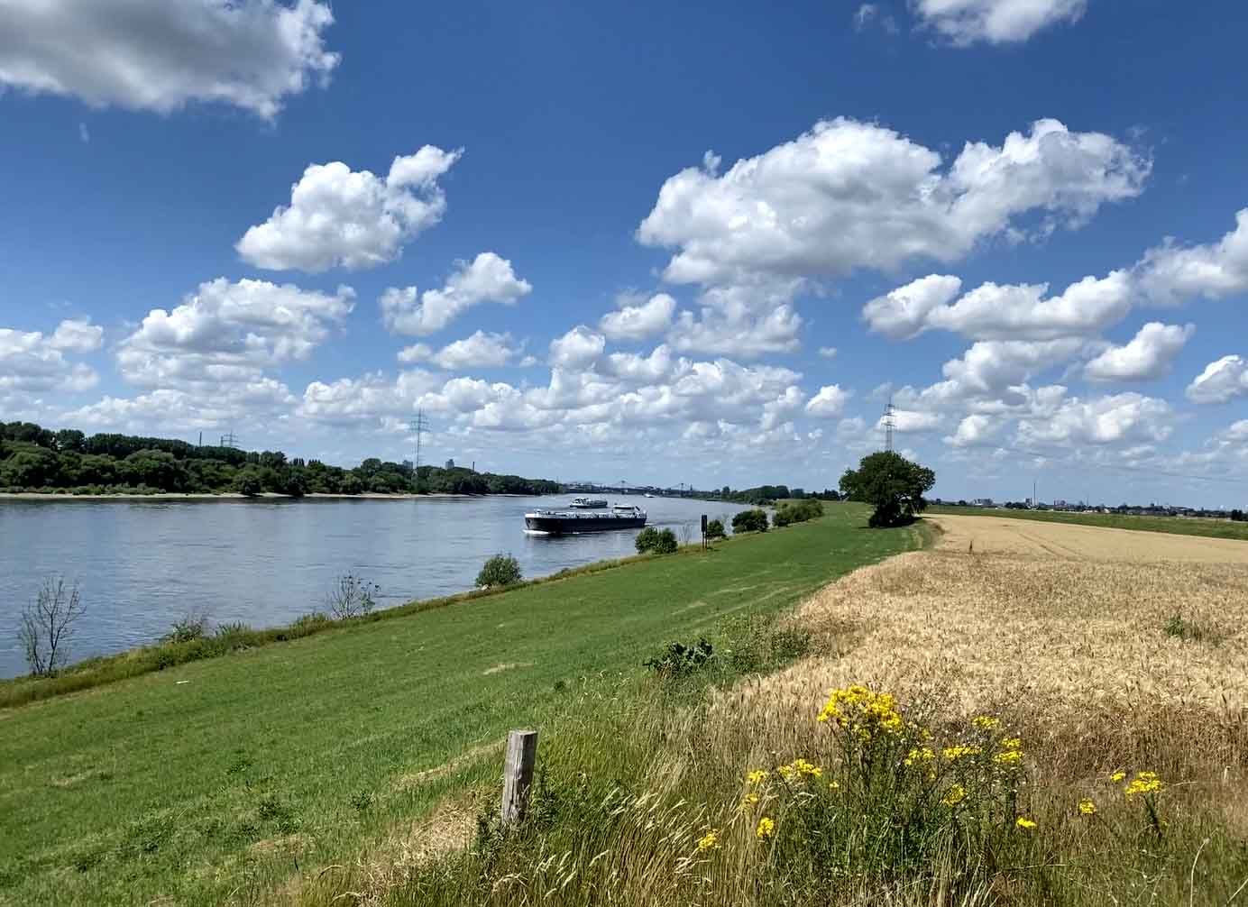 Rheinblick vom Aschlökske Richtung Duisburg