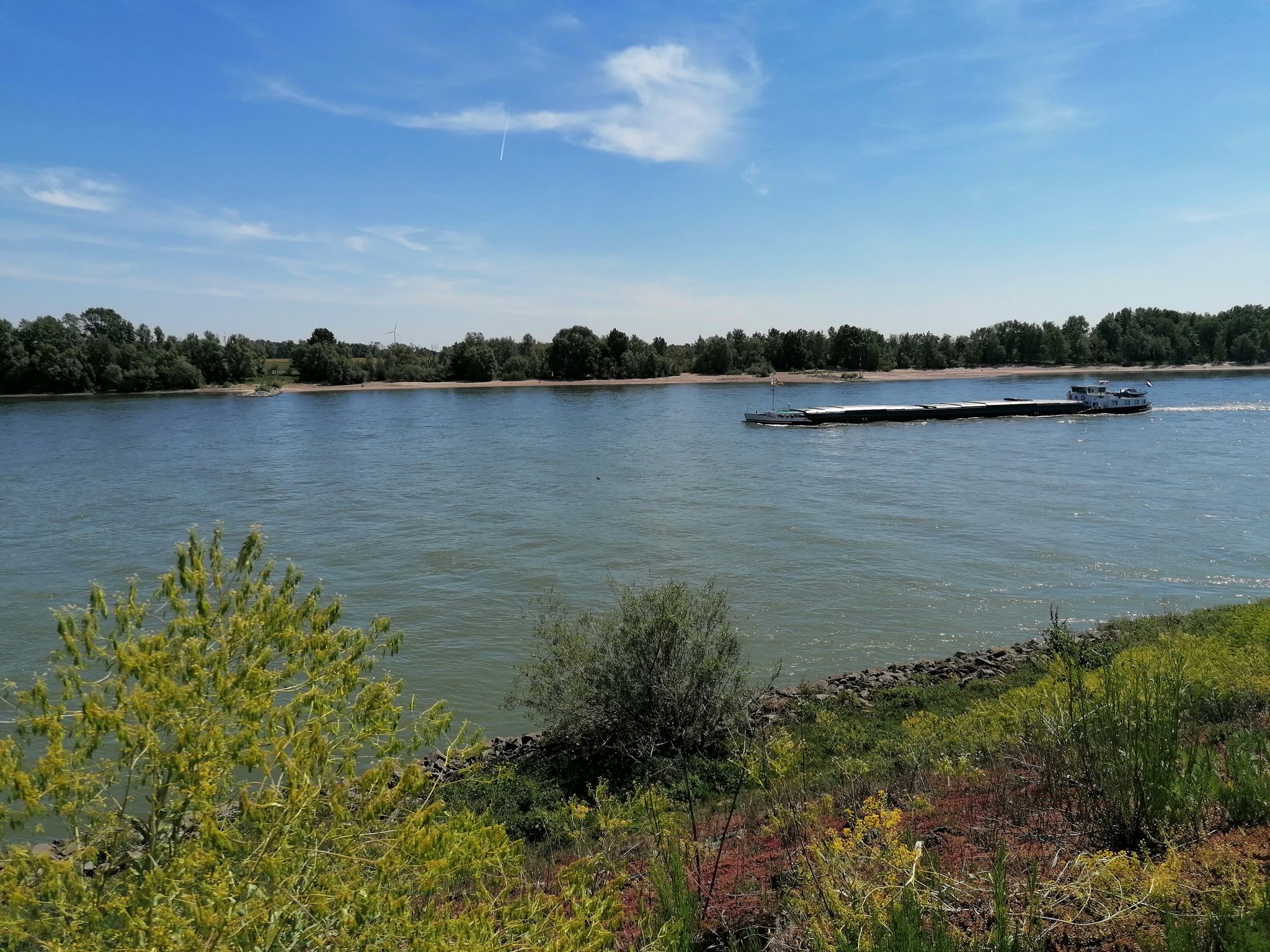 Rhein bei Öbermörmter