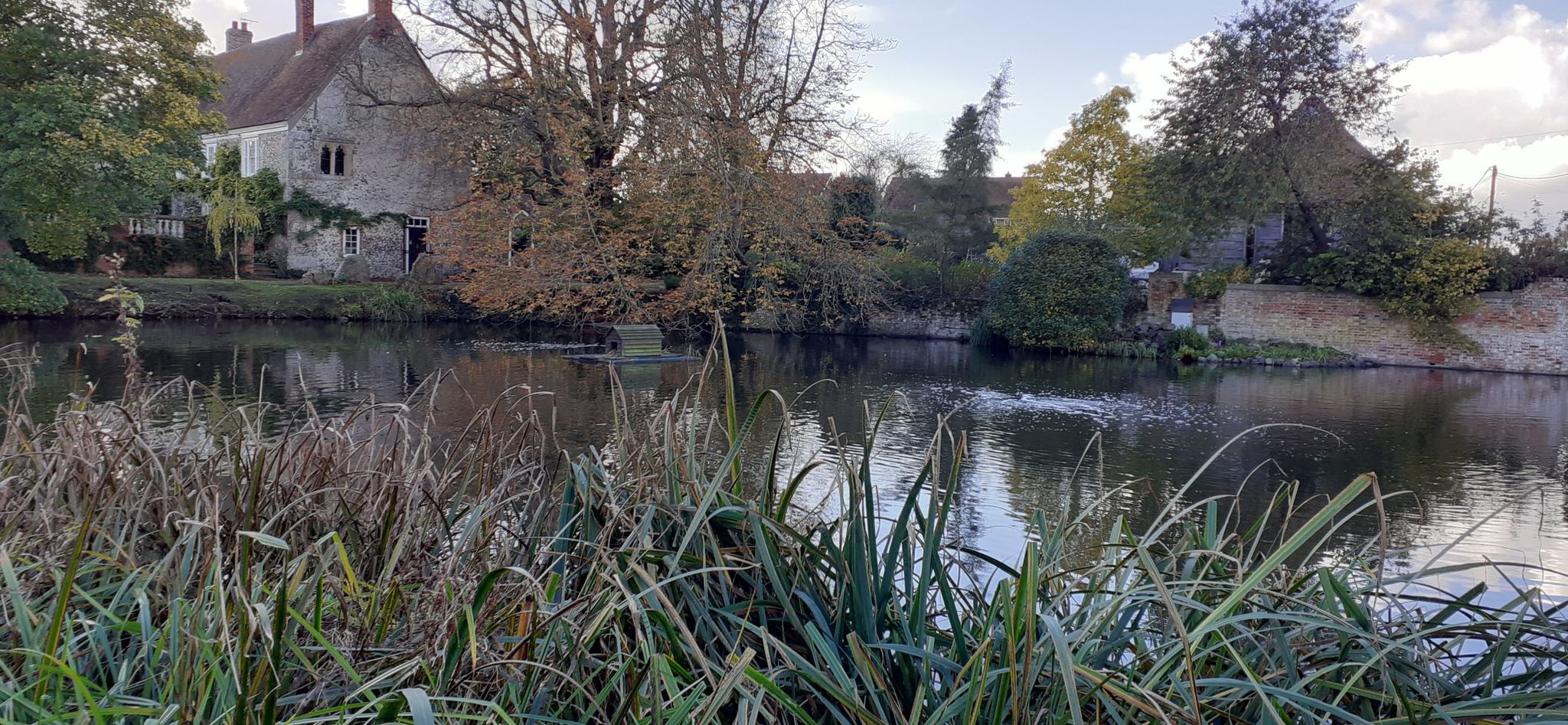 village pond