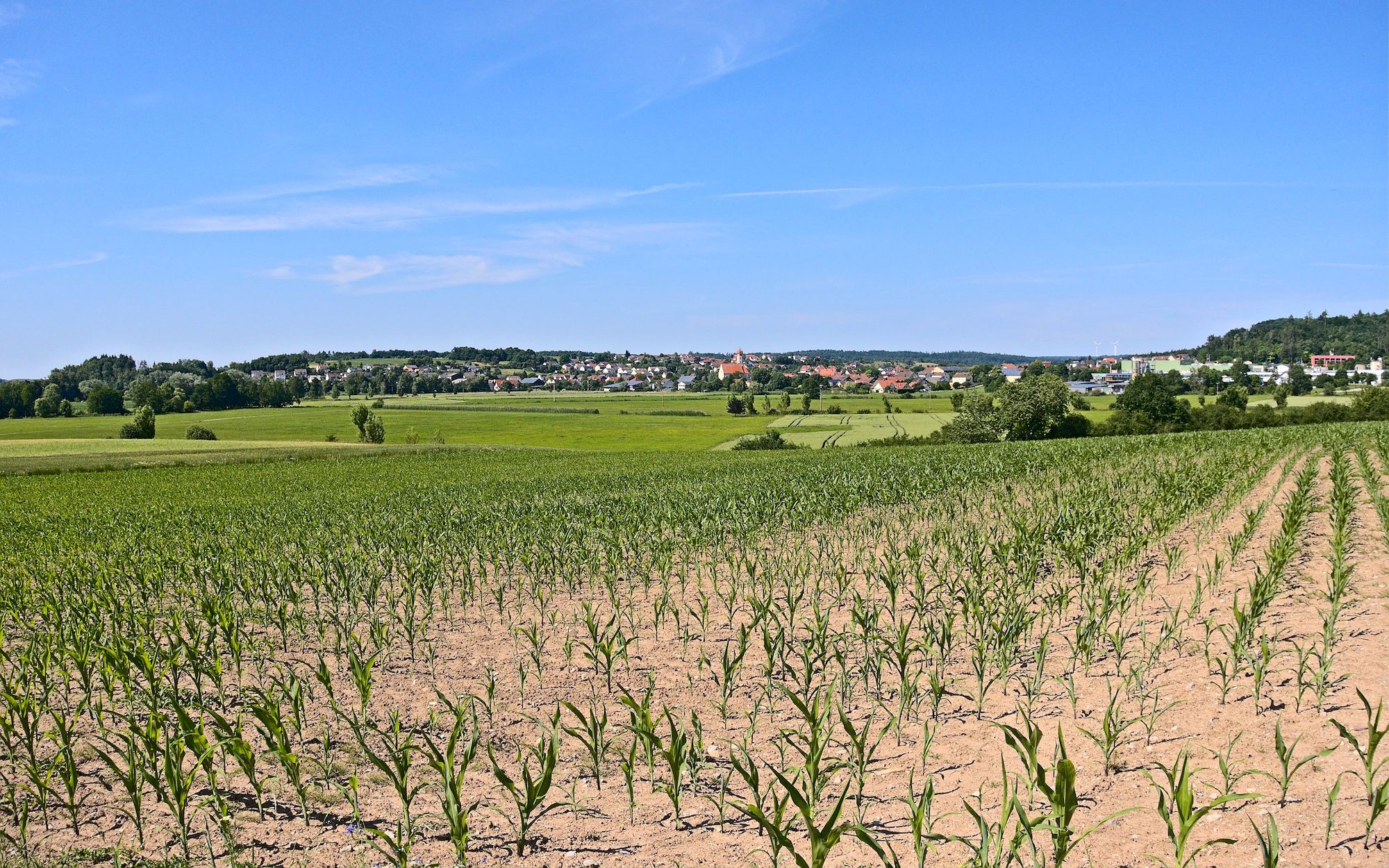 Ausblick auf Stimpfach