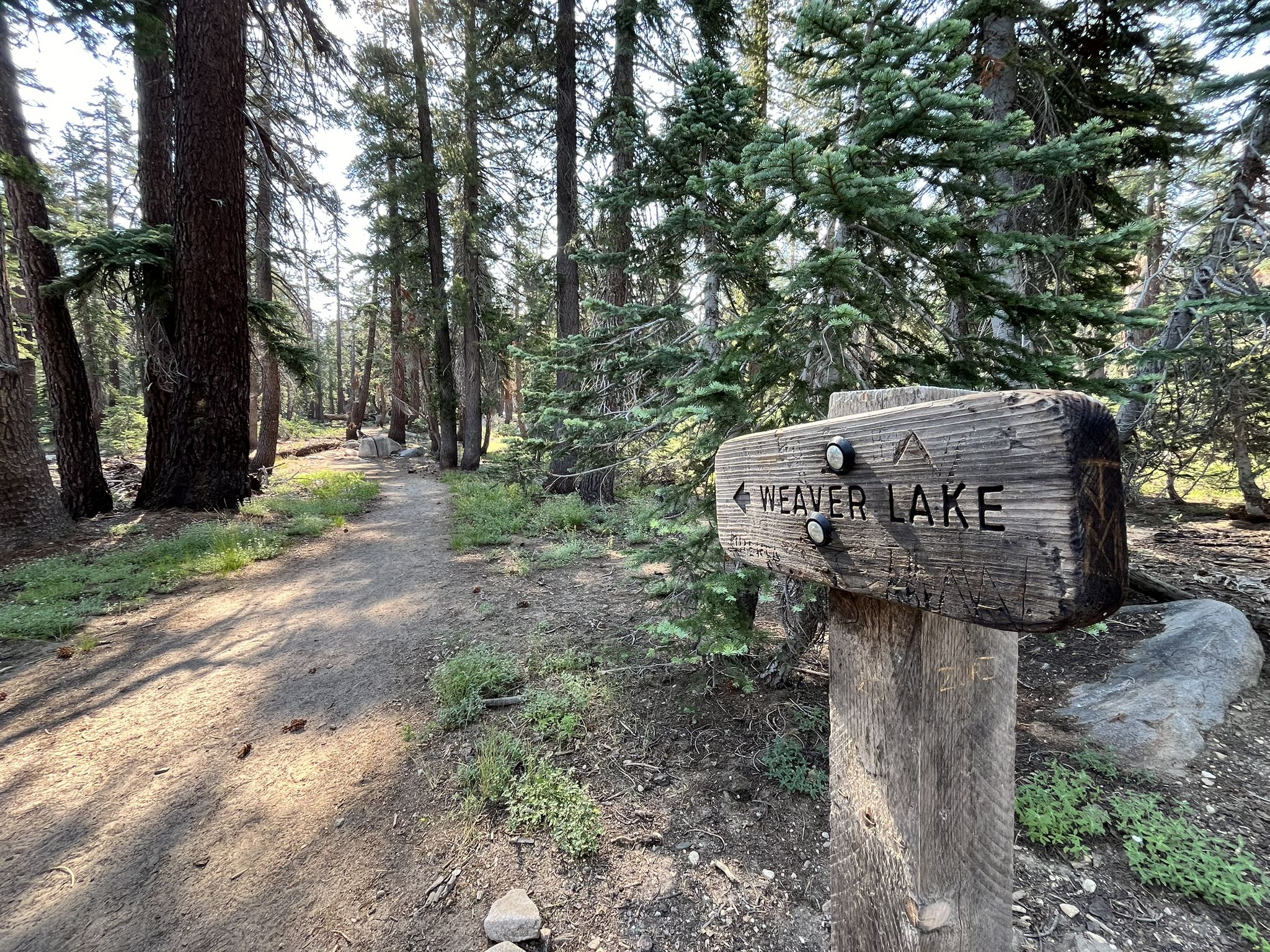 Wooden trail sign pointing left on a sunlit dirt path through a dense forest. - Weaver Lake via Big Meadows Trail