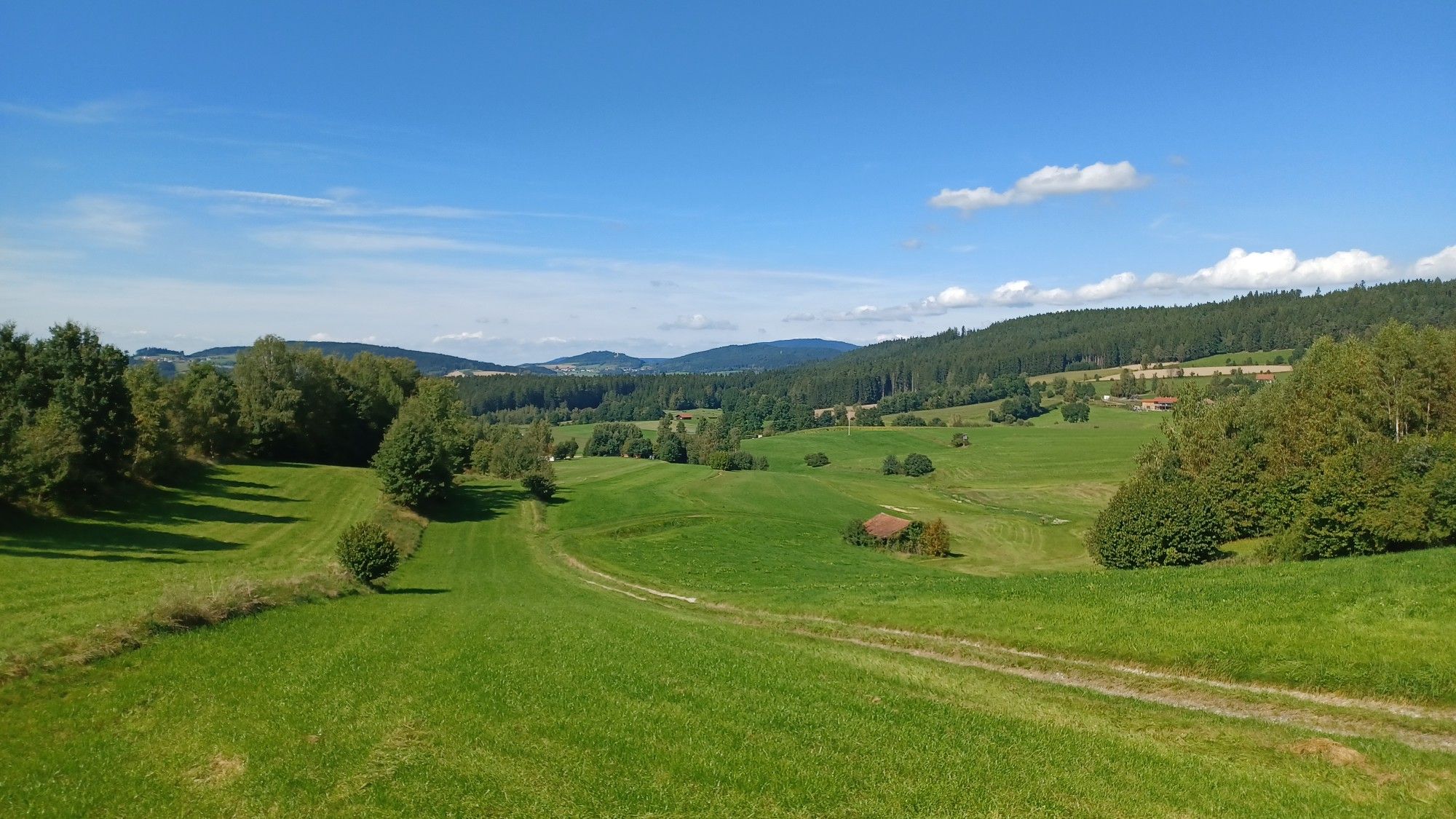 Blick auf Altnußberg