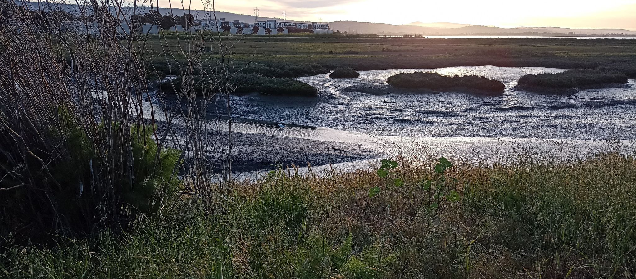 Sunset over a tidal marsh with winding water channels and distant hills. - Bedwell Bayfront Park loop from Salt Evaporators