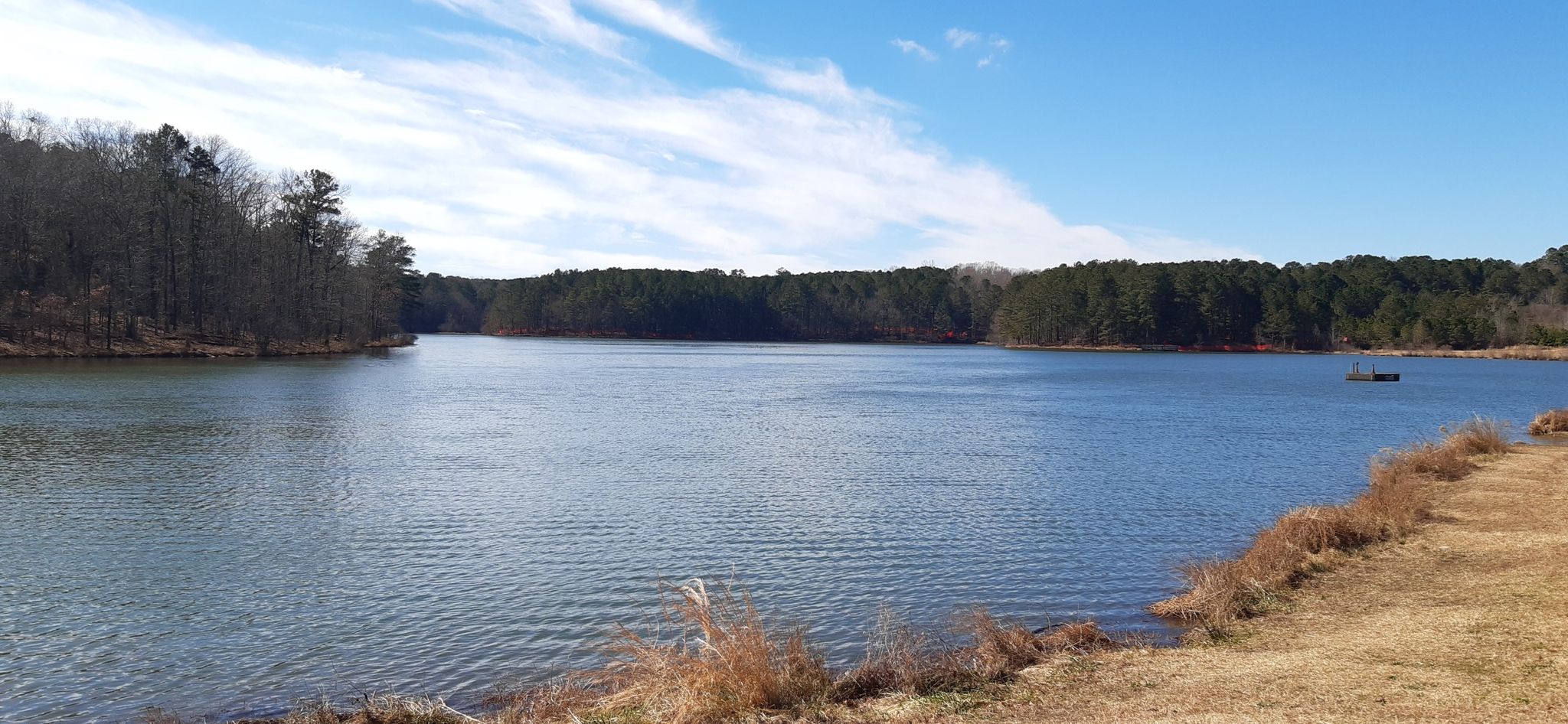 Wide view of a sunny lake surrounded by green trees, small boat visible. - Tribble Mill Park loop from Chandler Lake