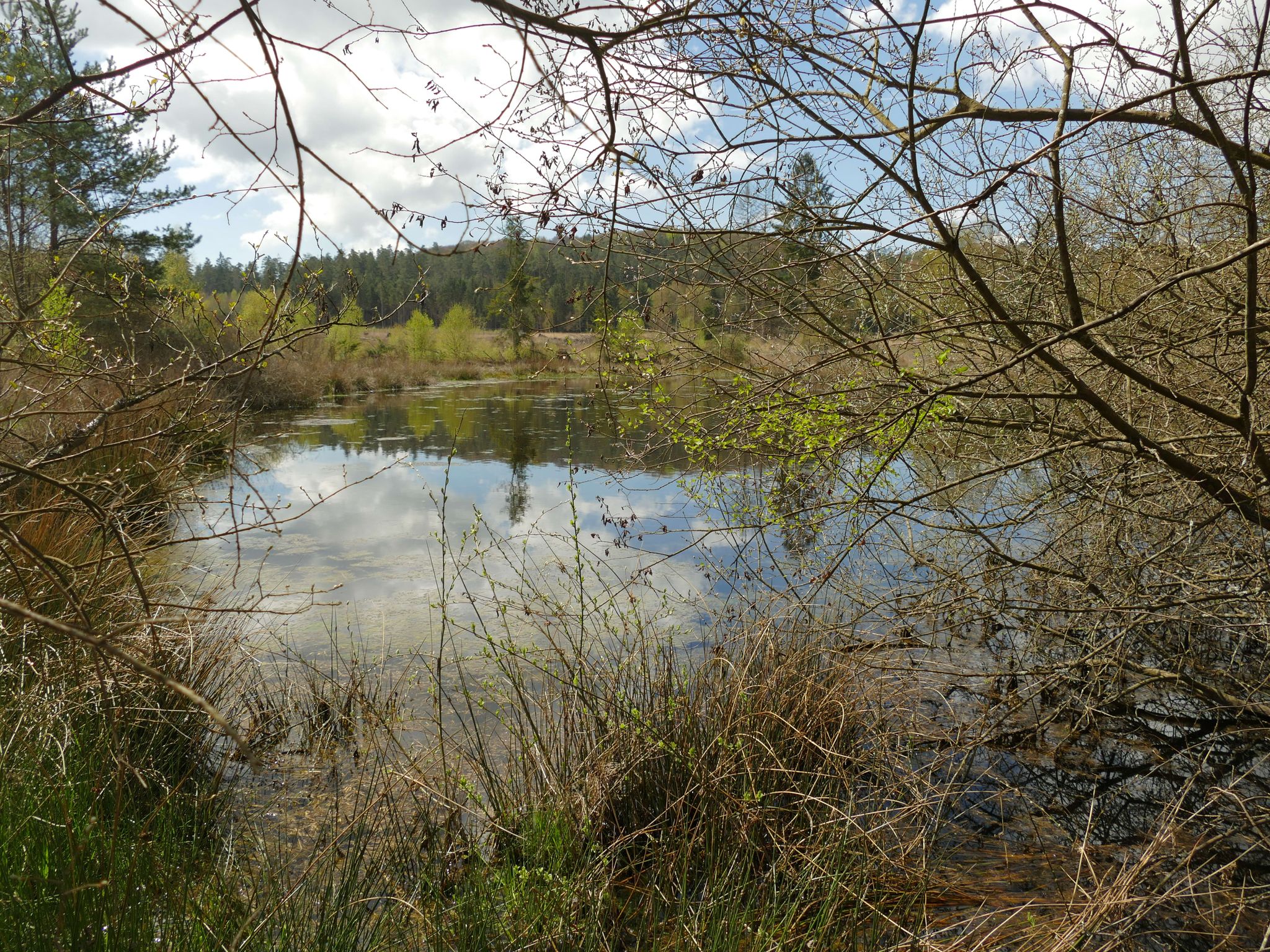 Das Rote Wasser