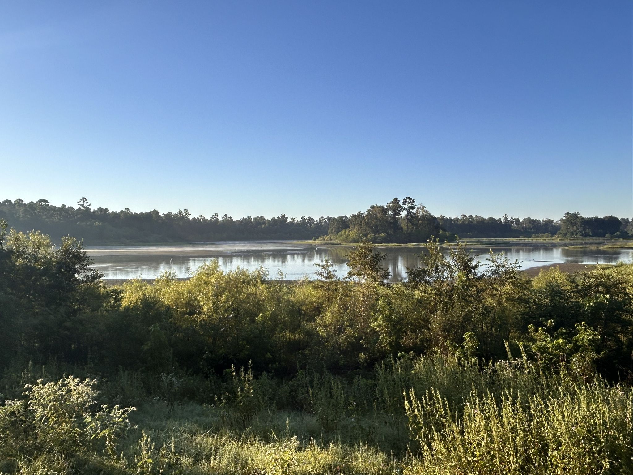 Wide, calm lake surrounded by green marshland and distant trees under clear sky. - Creekside West Loop