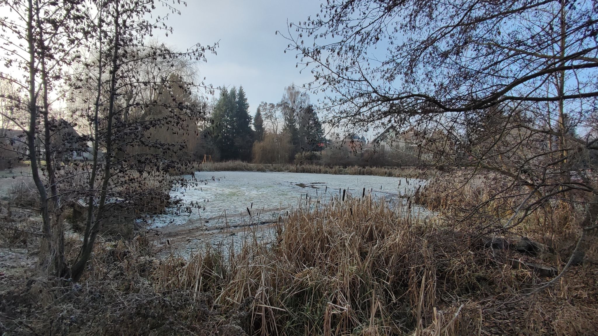 Hennyteich Oberlungwitz