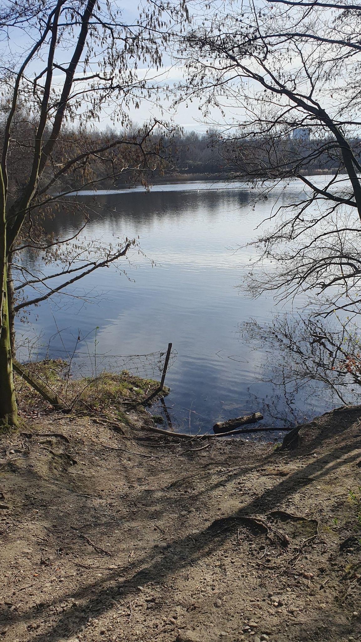 hier der letzte See für heute: im Naturschutzgebiet Waldseenbereich Theresia