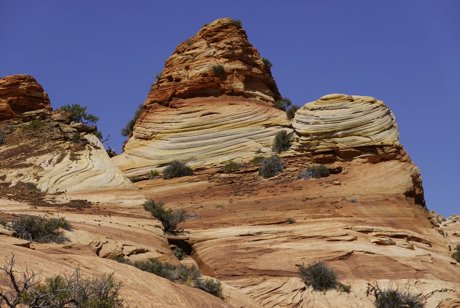 Layered sandstone formations with sparse green bushes under a bright blue sky. - Squirrel Canyon and Water Canyon Loop Trail